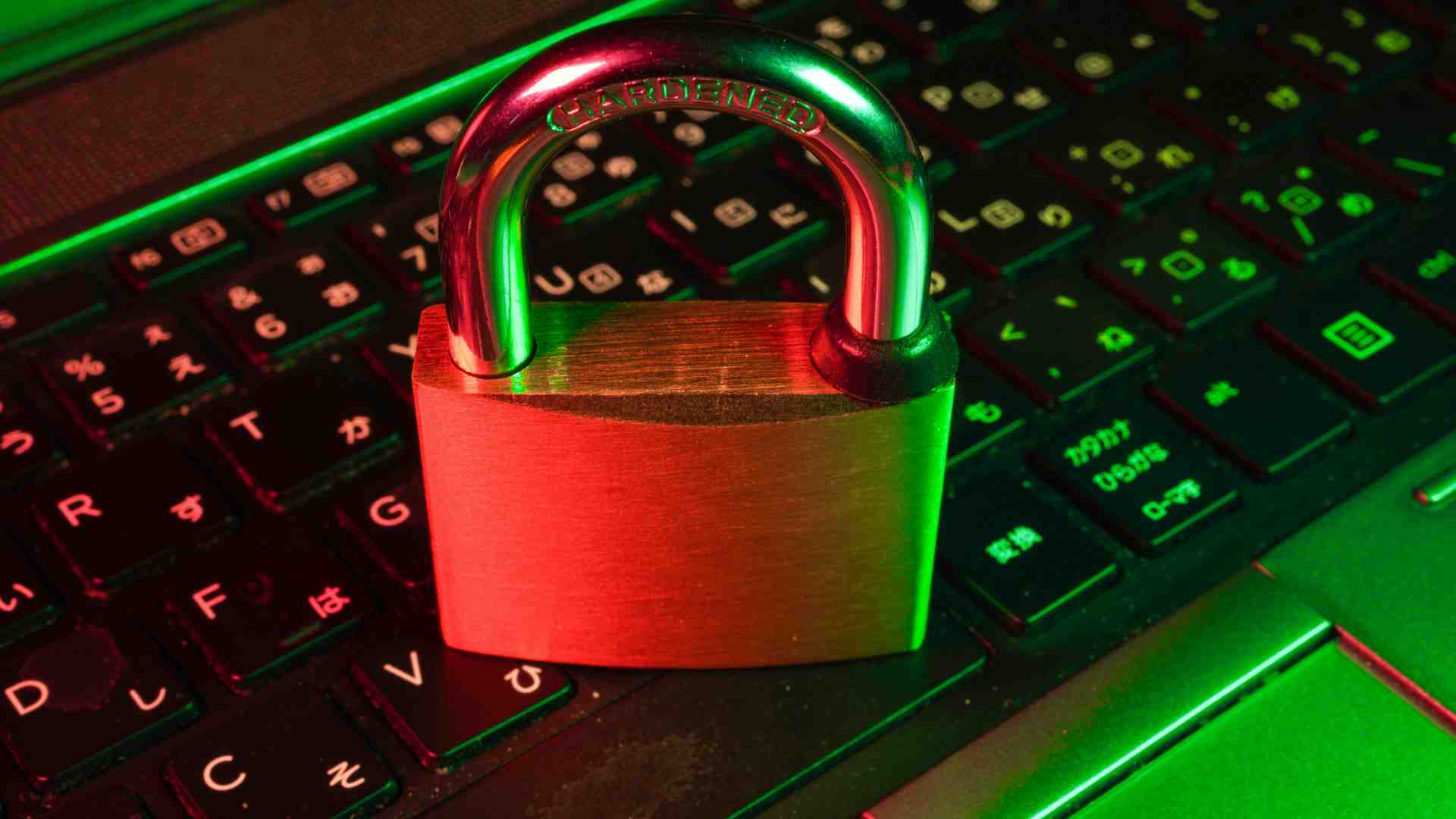 Immagine di Google vuole Wiz, la start up della cybersicurezza, per 23 miliardi di dollari