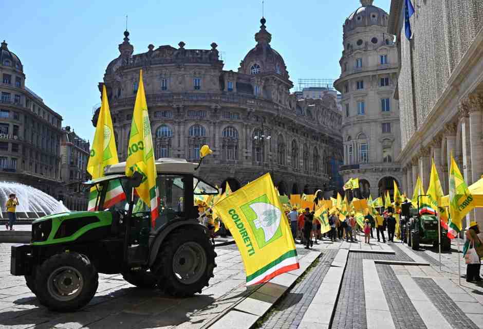 (foto Ansa)