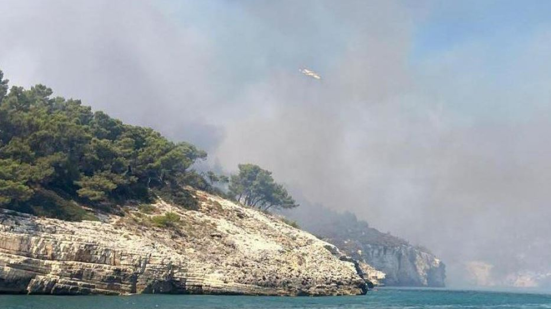 Immagine di Vieste, domato l'incendio. "Rogo doloso"