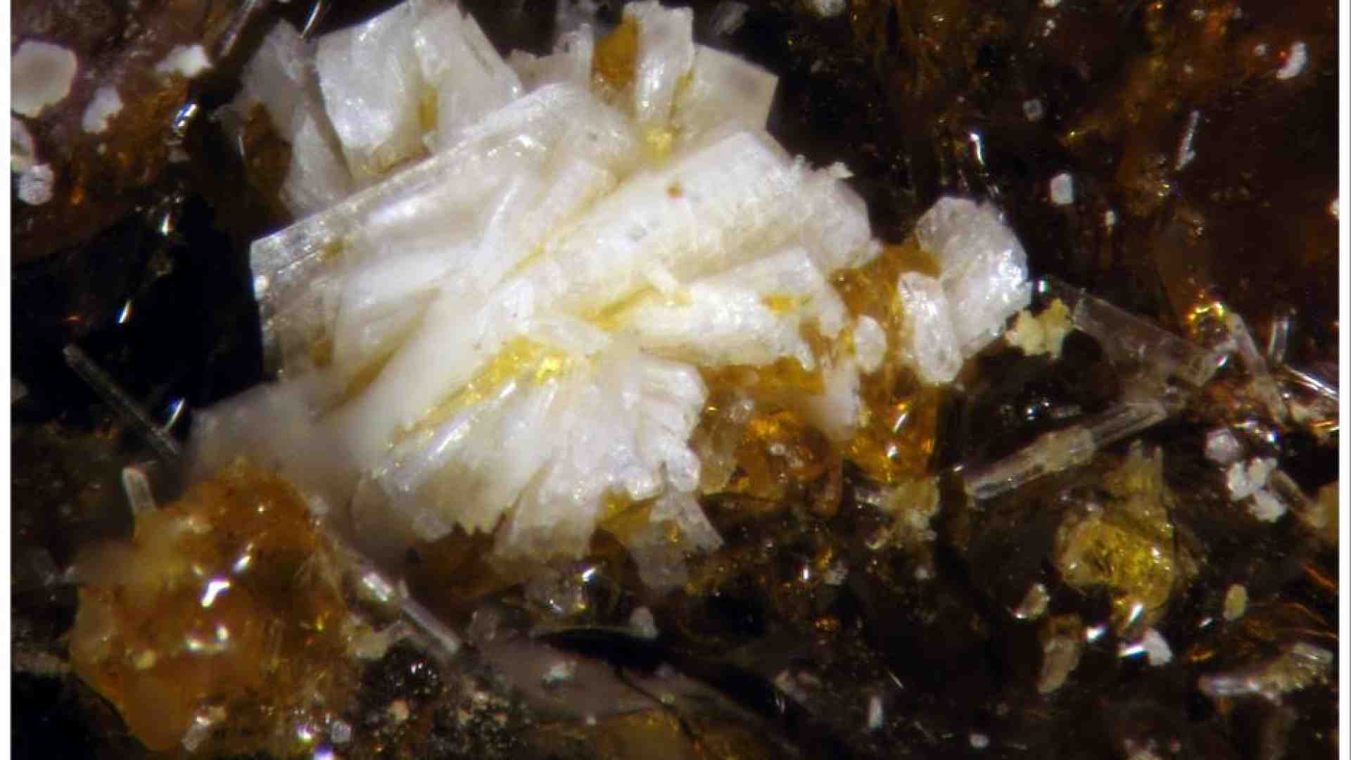 Immagine di La batoniite è il primo “minerale dell'anno” scoperto in Italia