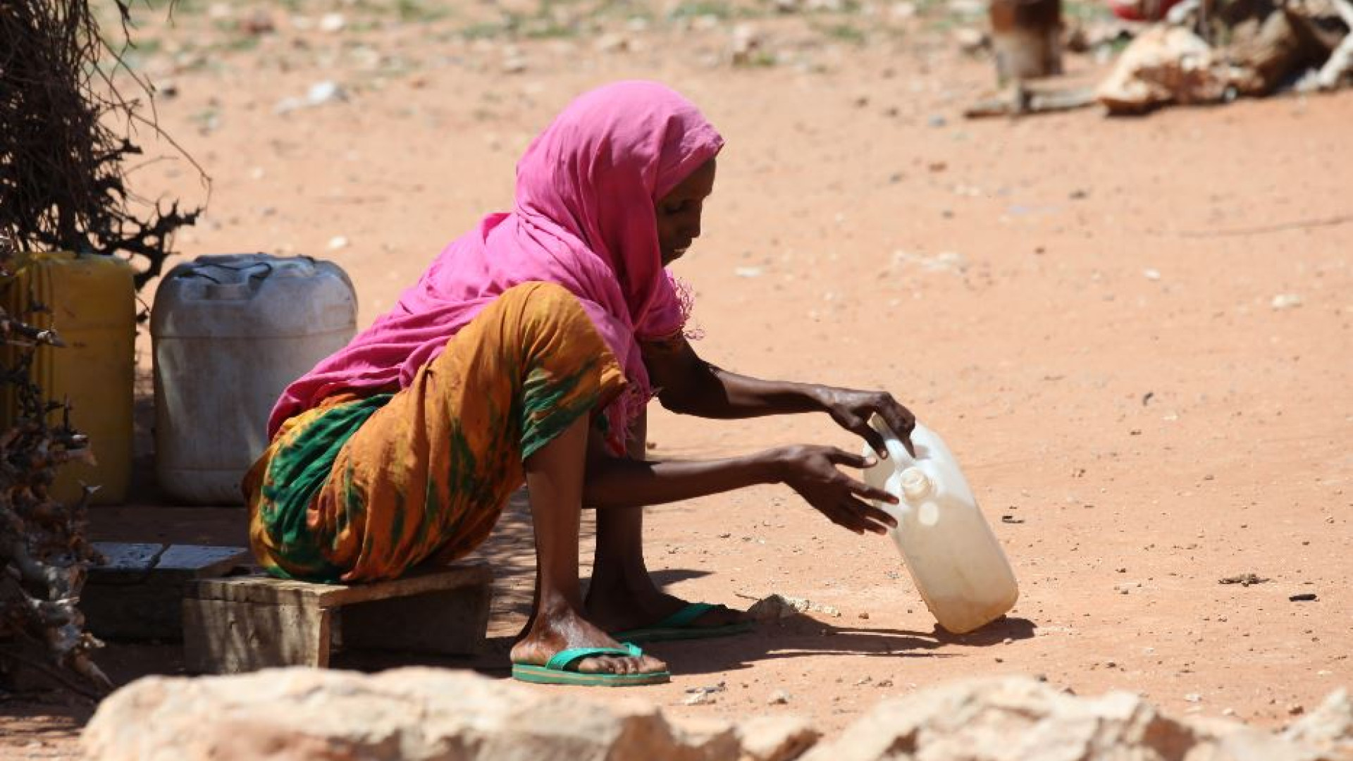 Immagine di La “fame zero” resta un miraggio: una persona su 11 nel mondo non ha da mangiare