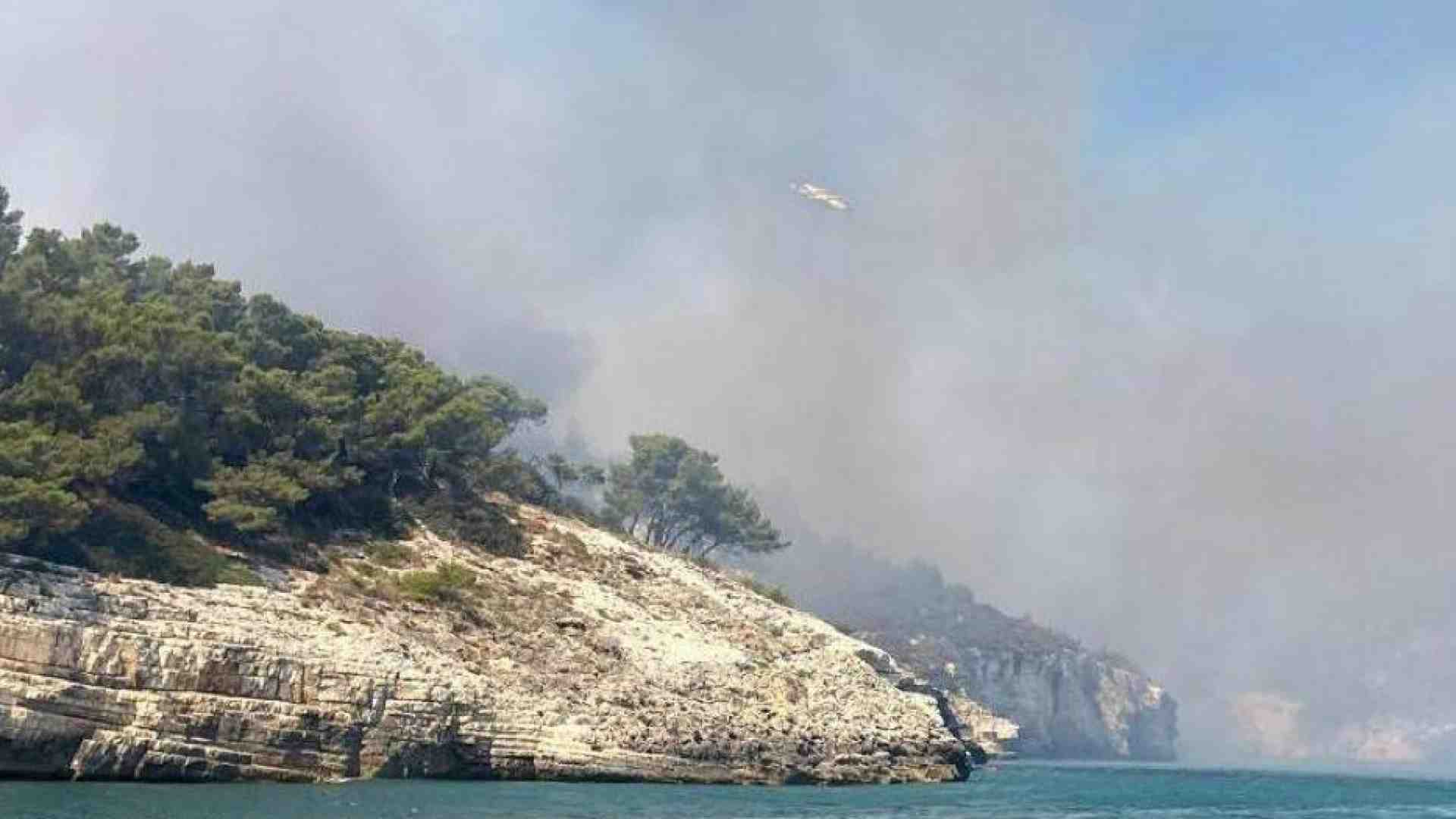 Immagine di Vieste, domato l'incendio. "Rogo doloso"