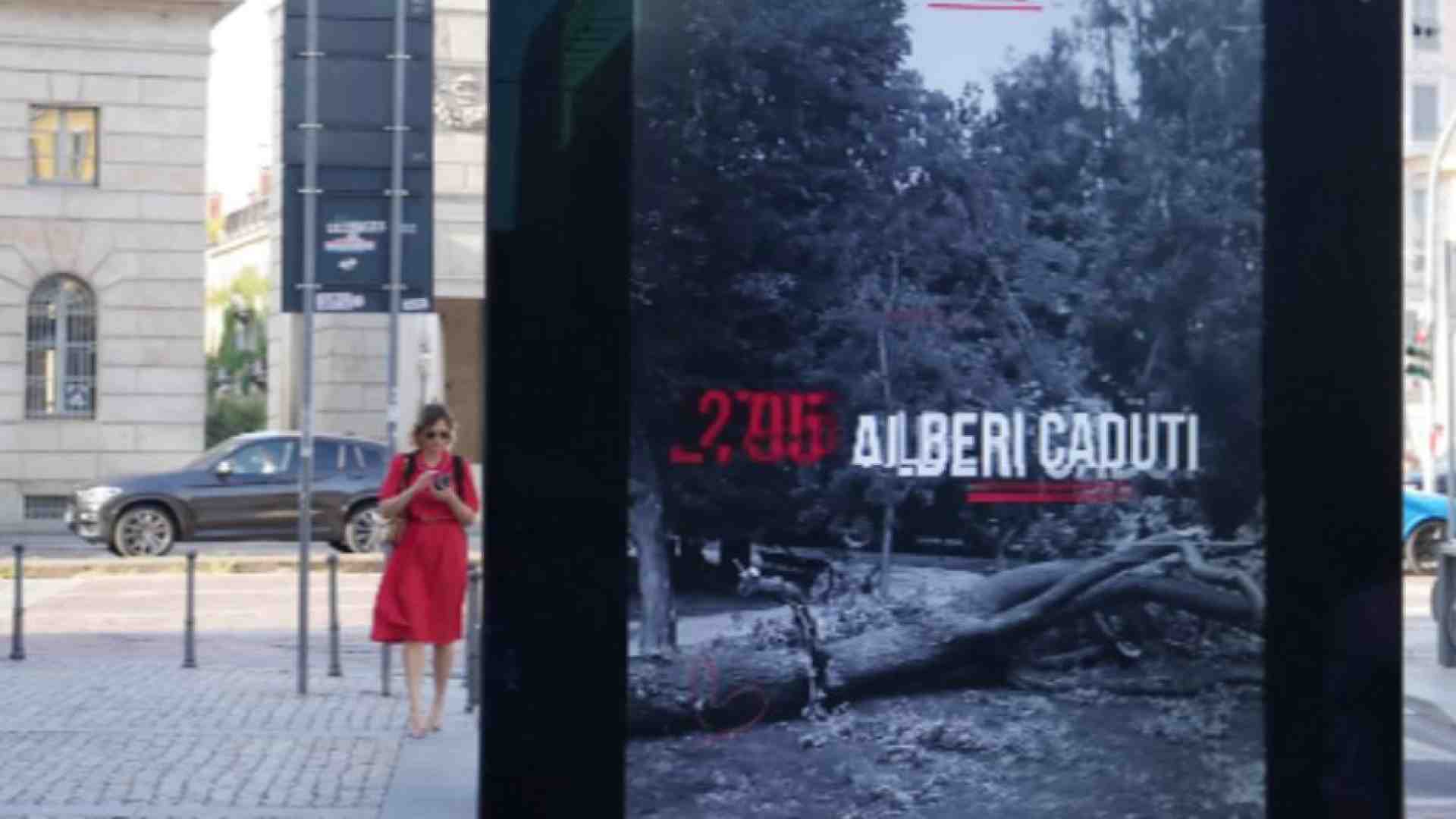 Immagine di Un anno dopo la tempesta Milano ha “ritrovato” 5mila alberi