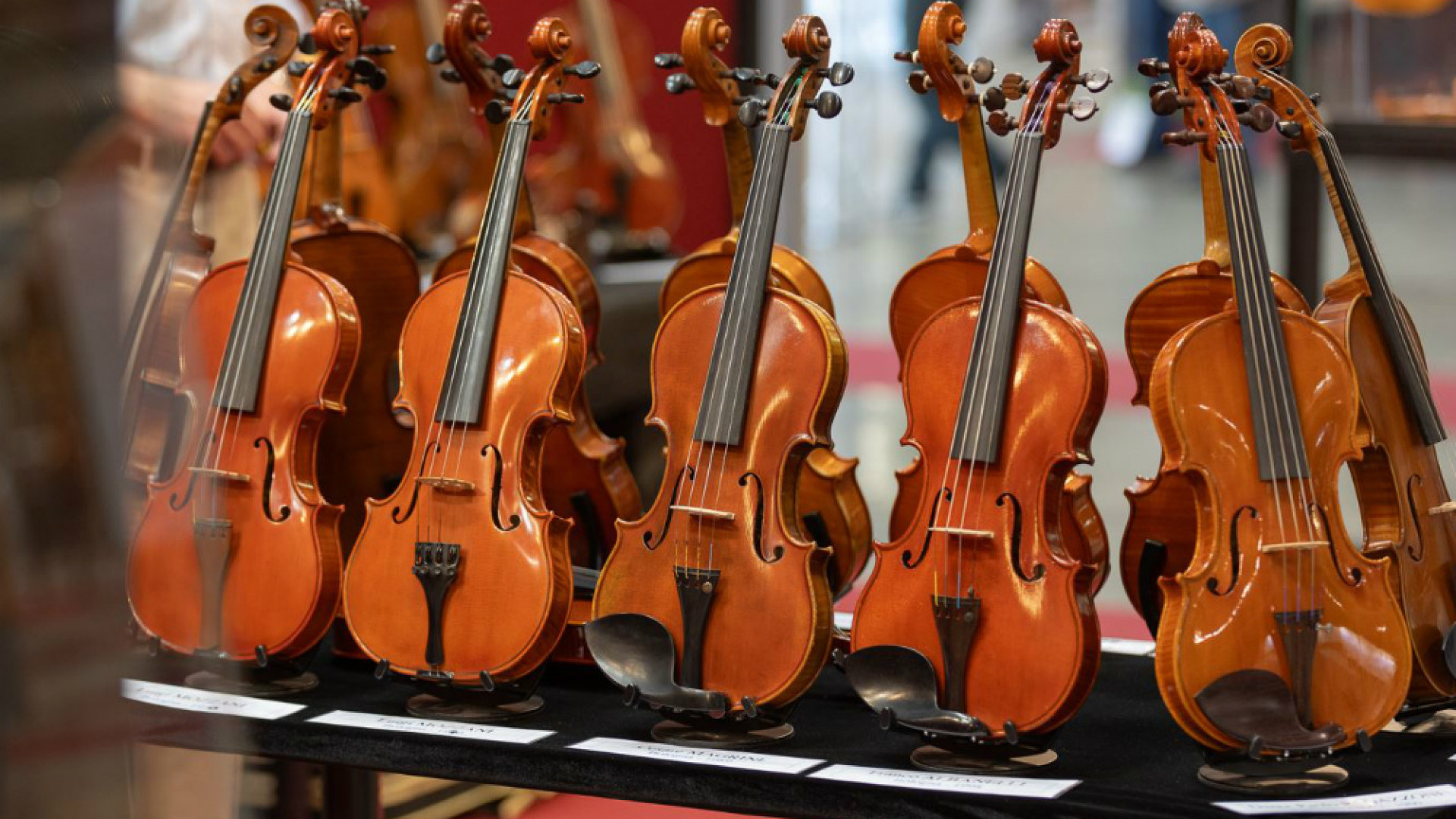 Immagine di Tradizione e innovazione torna Cremona Musica