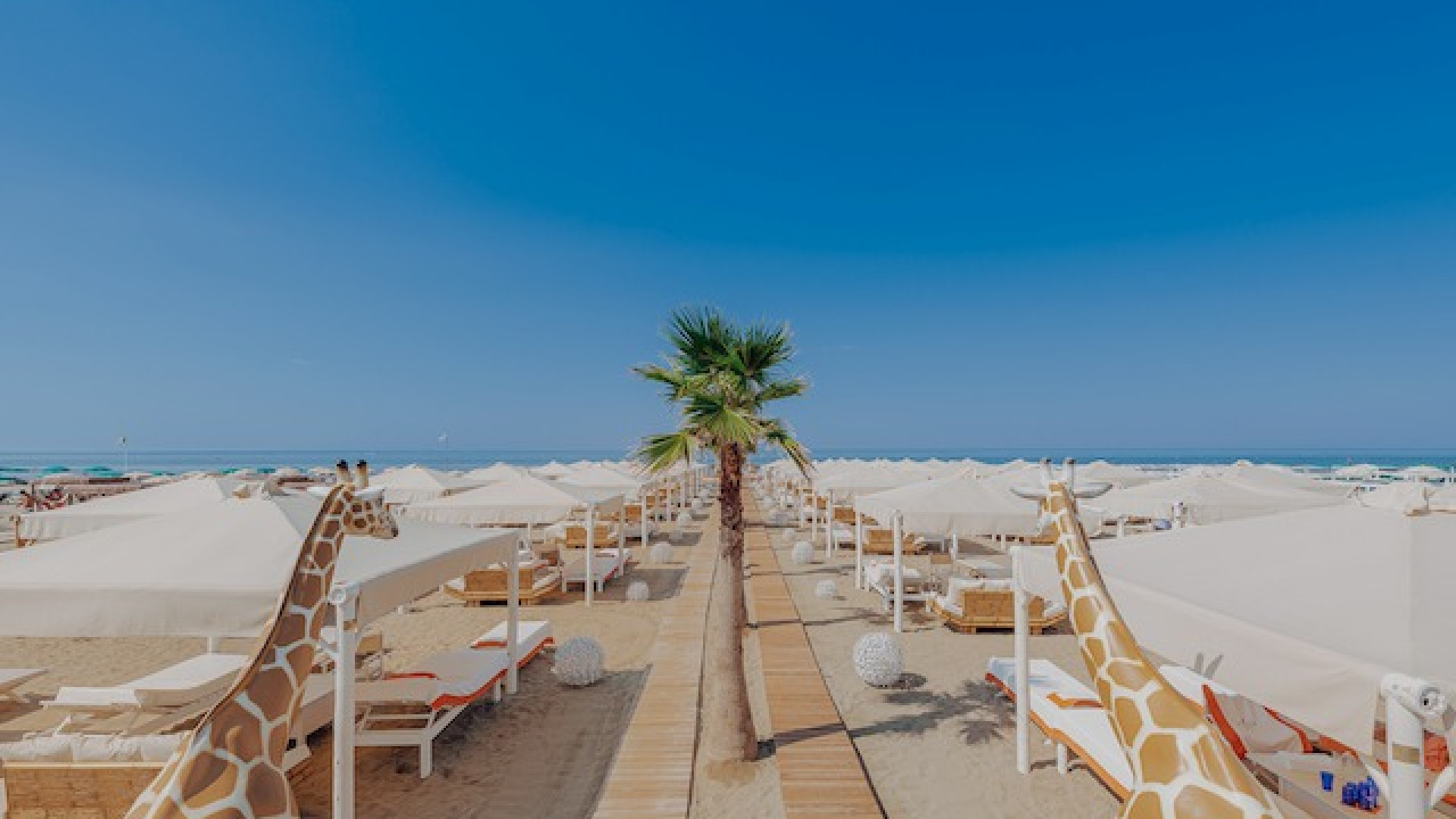 Immagine di Forte dei Marmi, tra lidi e ville di lusso
