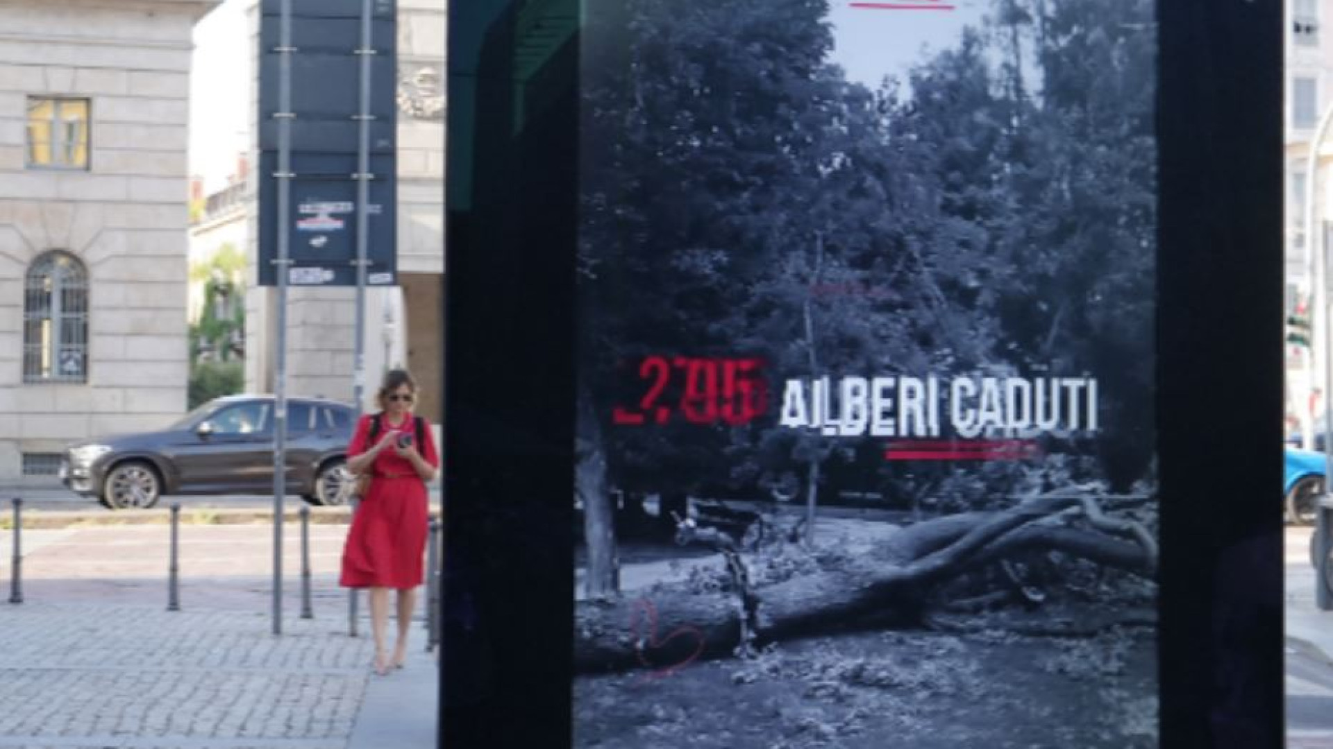 Immagine di Un anno dopo la tempesta Milano ha “ritrovato” 5mila alberi