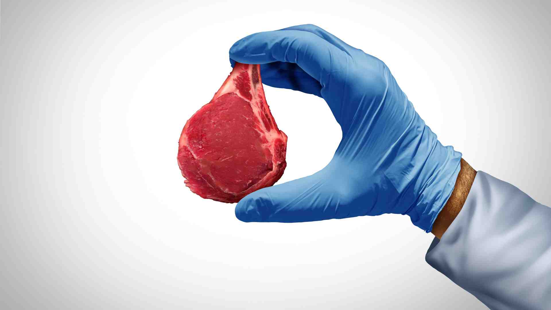 Immagine di La prima "carne sintetica" è pronta. Non sarà la legge fuffa di Lollobrigida a fermarla
