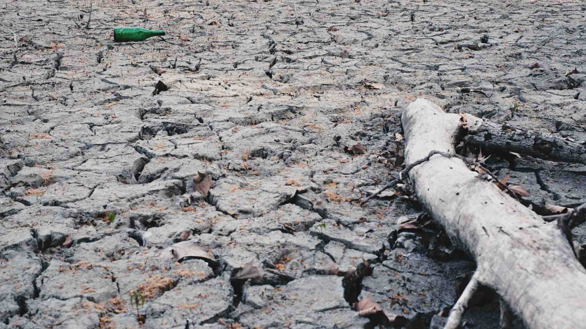 Immagine di La crisi idrica è una crisi politica, non climatica, e la destra ora ne è gravemente complice. Ecco perché