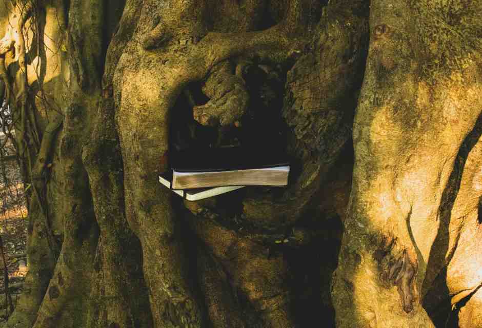 Nel taccuino di un professore di latino c’è già tutta la grandezza di Sándor Marai