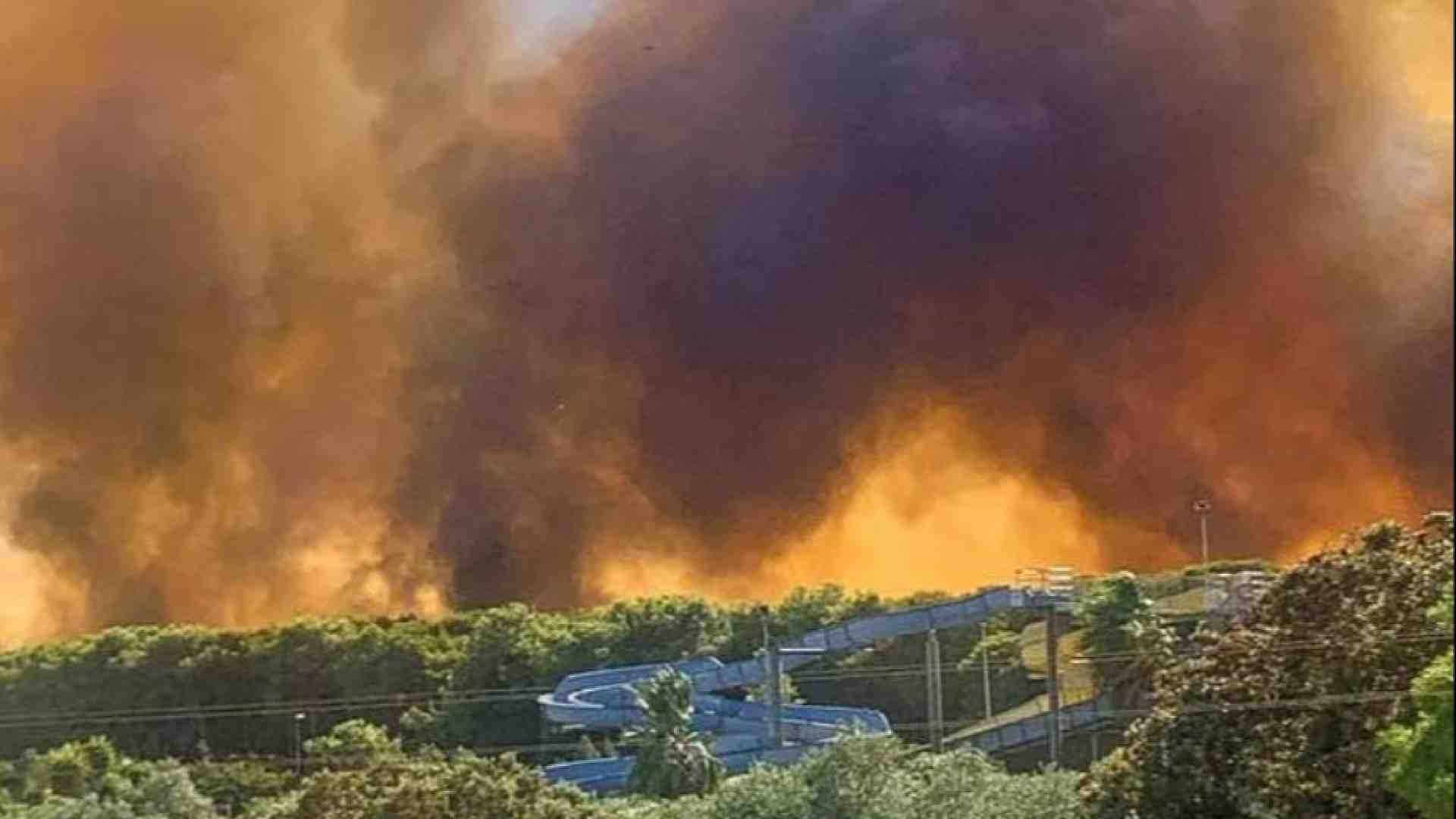 Immagine di Incendio di Pulsano, le telecamere di sicurezza incastrano il presunto piromane