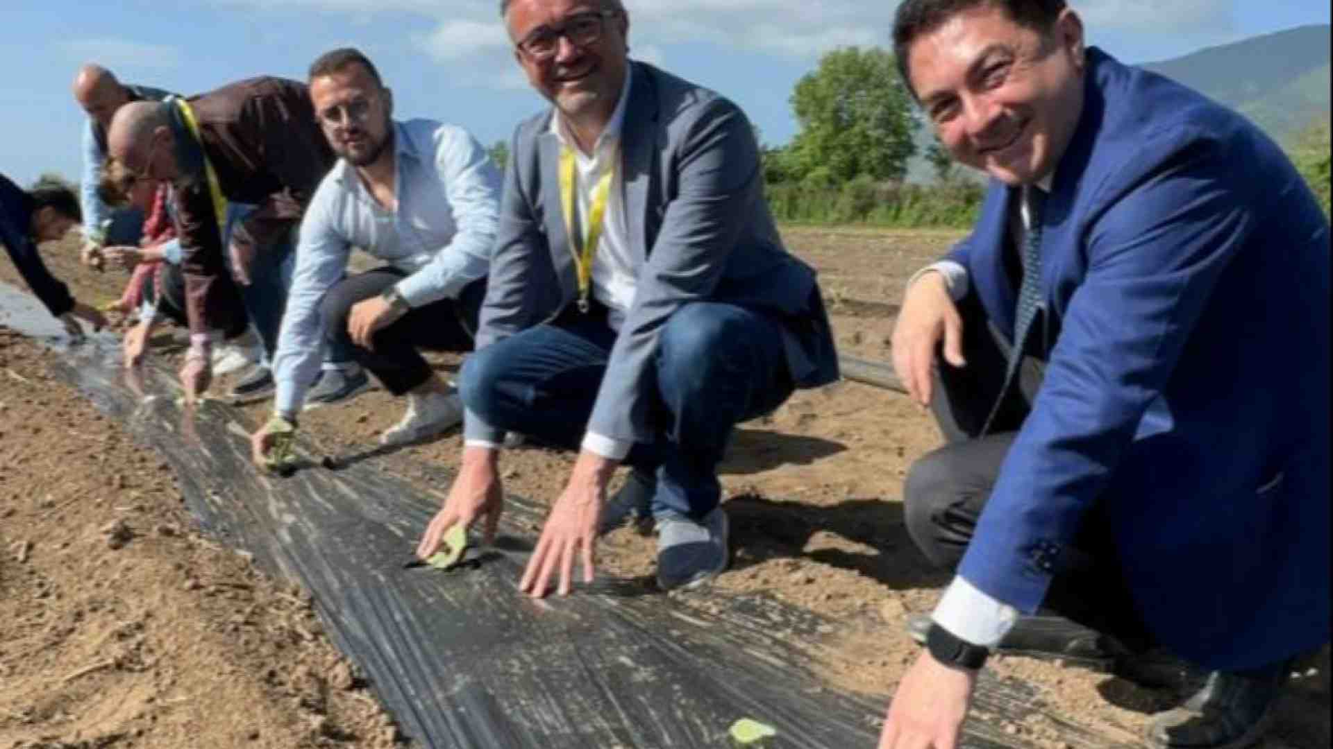 Immagine di Il recupero dei detenuti parte dal lavoro (condiviso) sulla terra