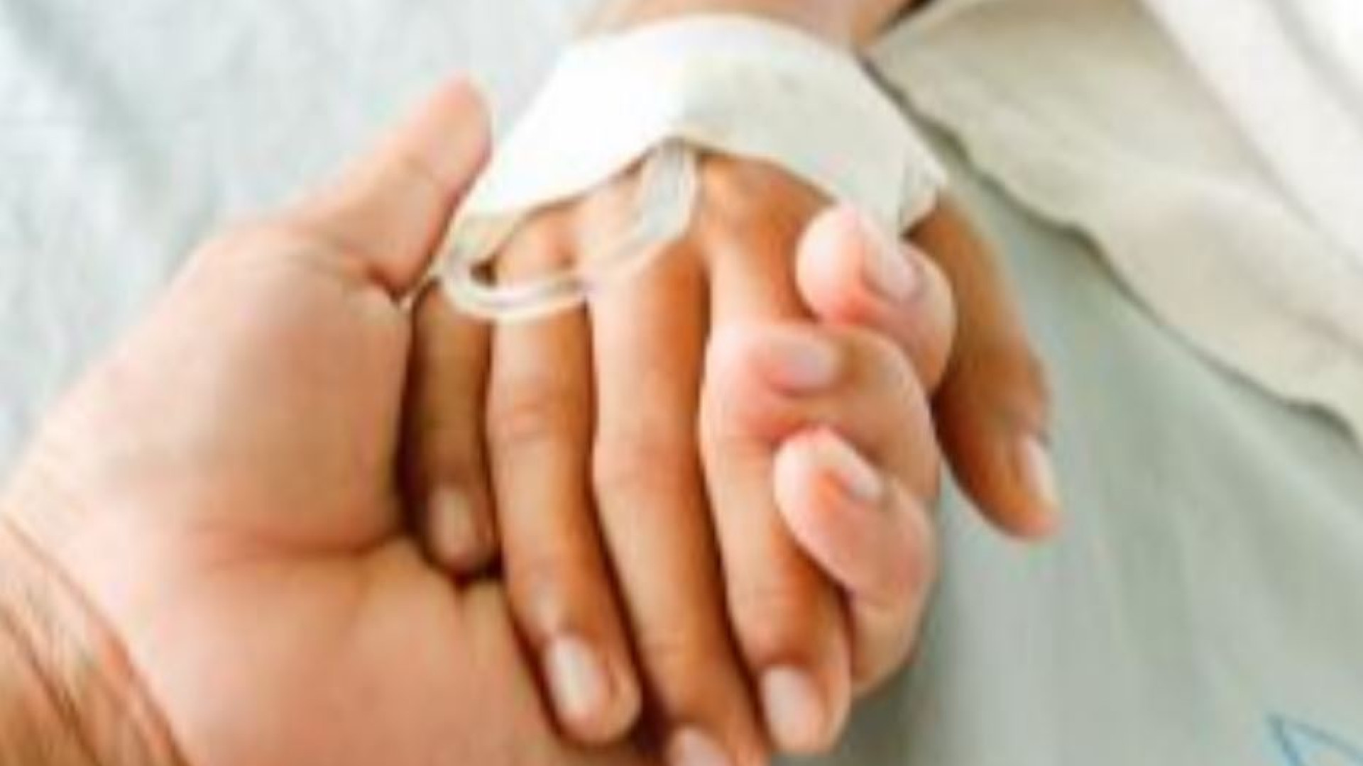 Immagine di Padre Lepori: «Grati anche nei momenti bui»