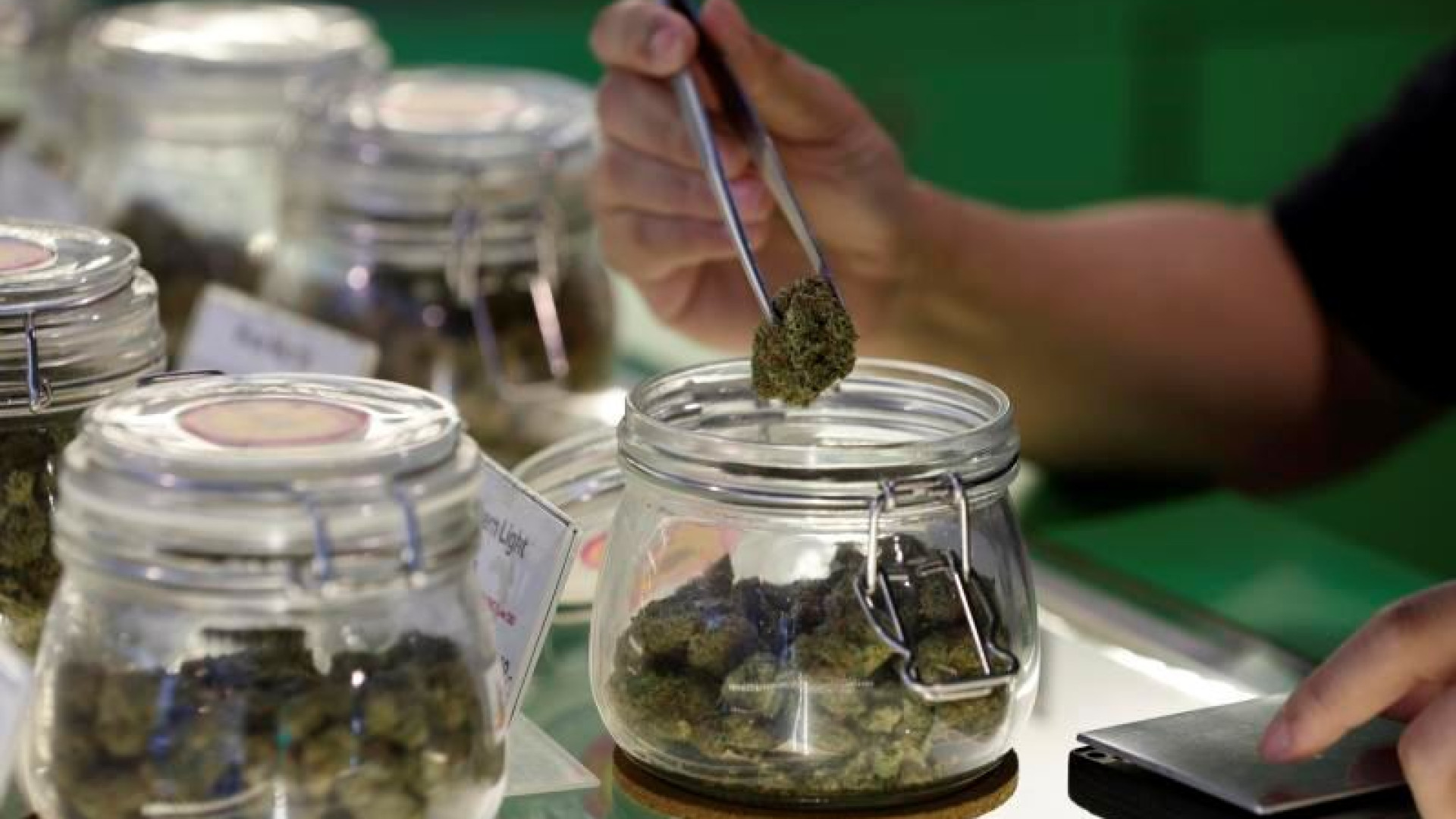 Immagine di Verso regole più rigide per la vendita e la coltivazione della cannabis «light»