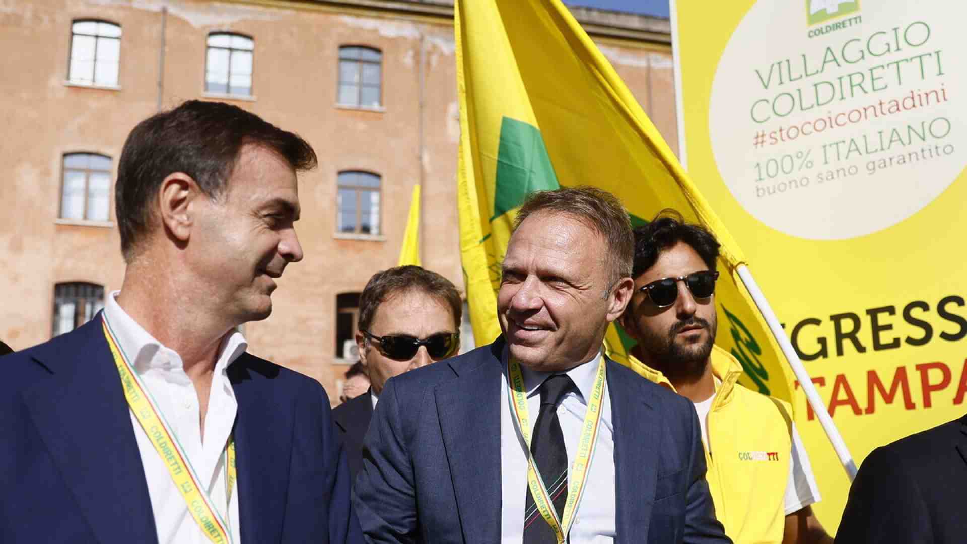 Immagine di L’Ue stronca l’Italia su un’emergenza vera: la peste suina