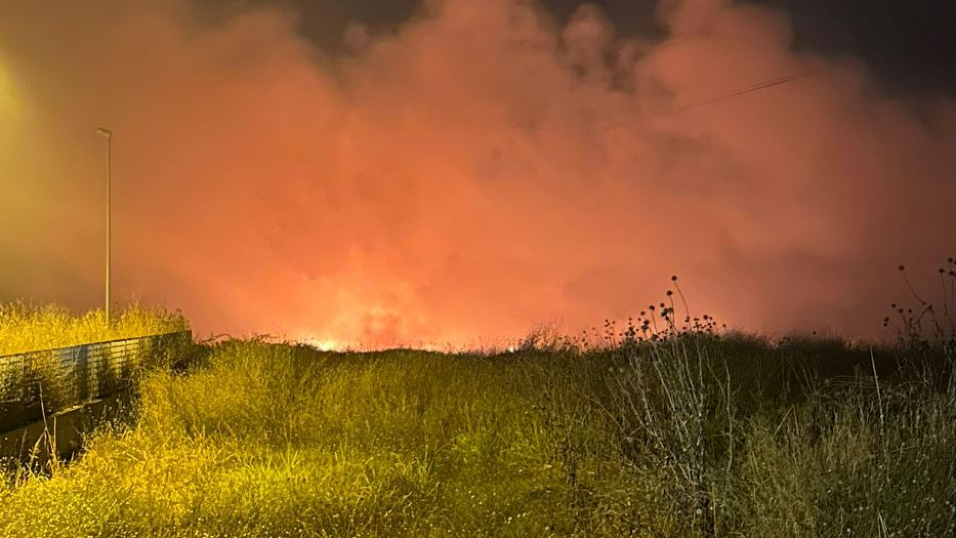Immagine di In fiamme la cooperativa sociale nella terra confiscata ai Casalesi