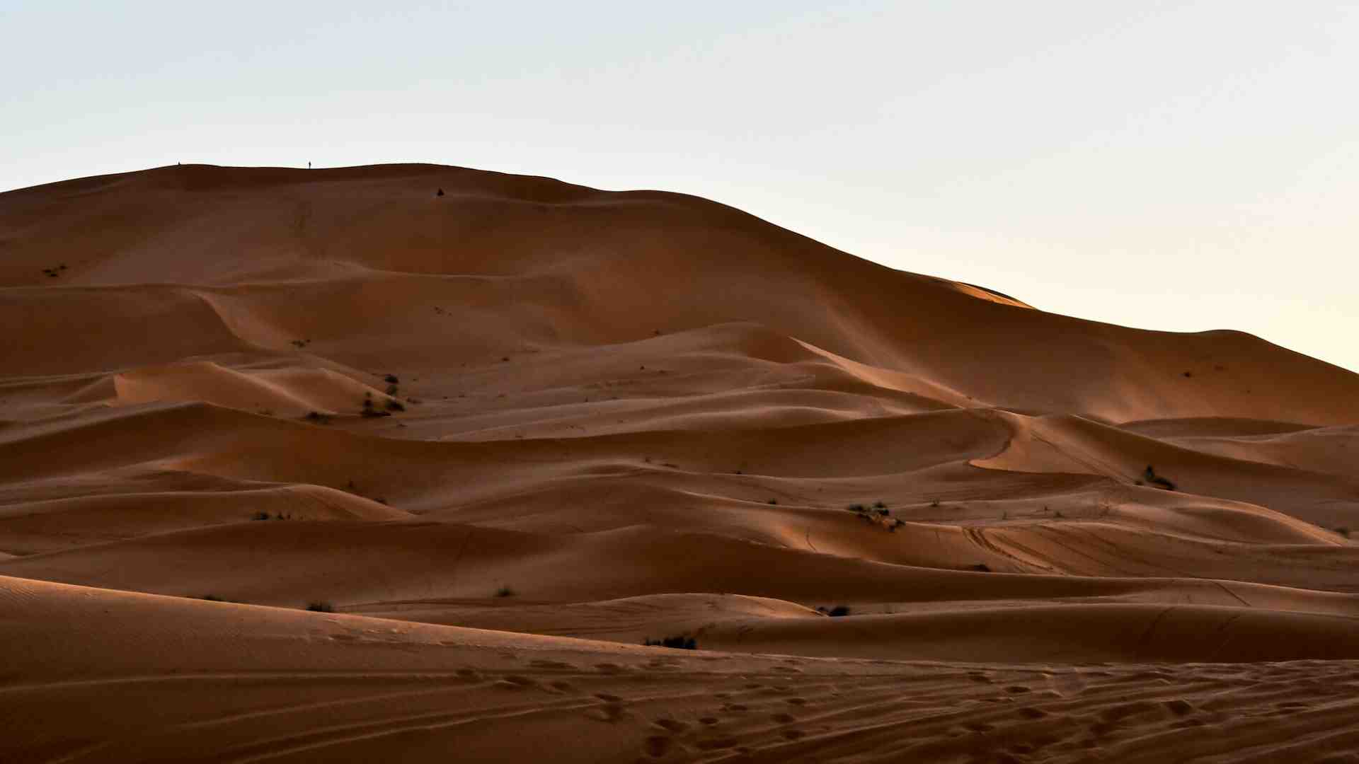 Immagine di Travolti da un'insolita luce saudita