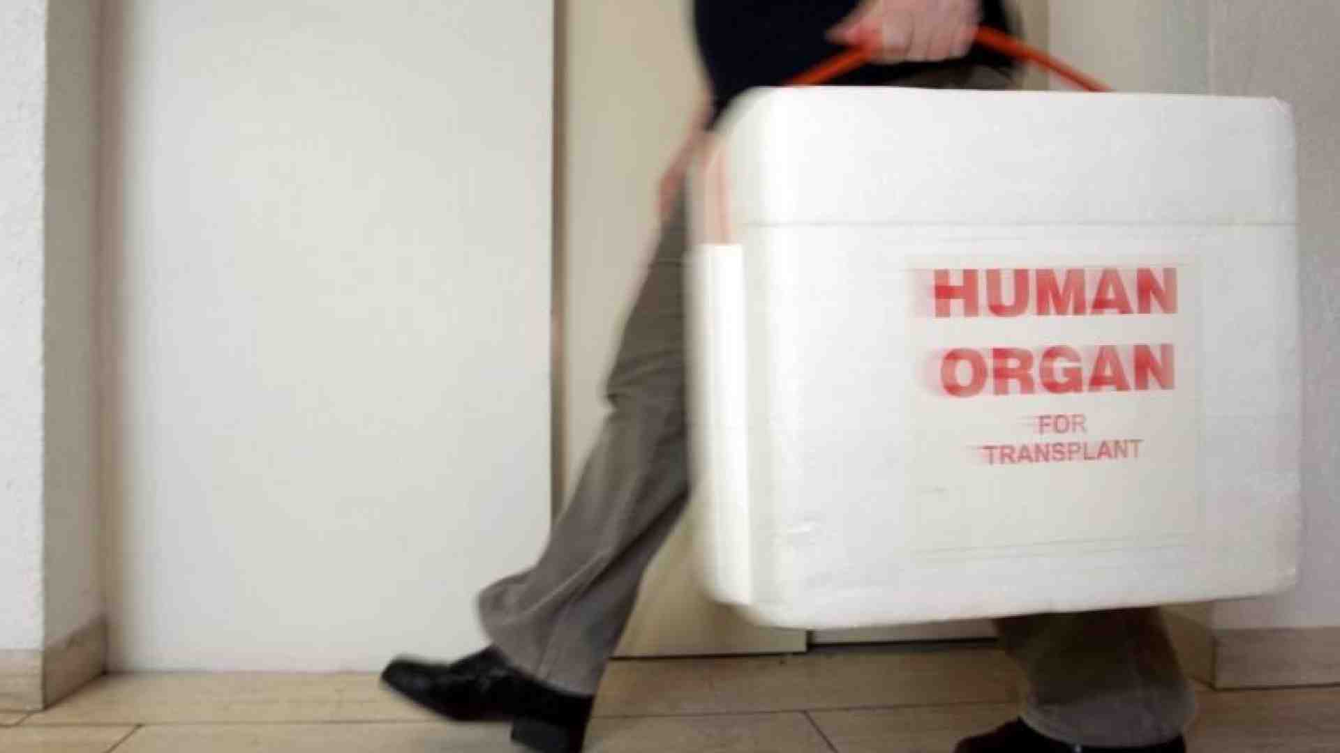 Immagine di Trapianti di organi e donazioni: Italia da record