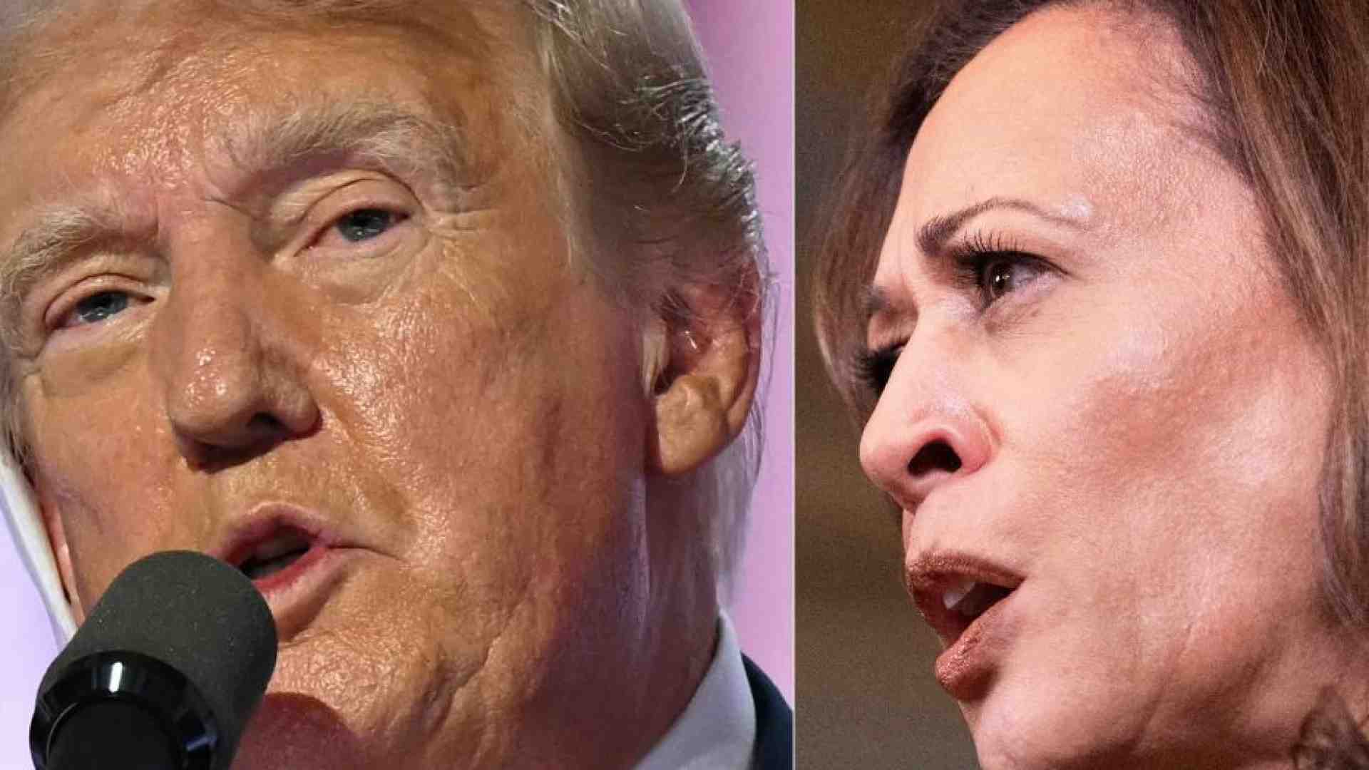 Immagine di Secondo i sondaggi Kamala Harris è avanti 6 punti, Trump è più nervoso