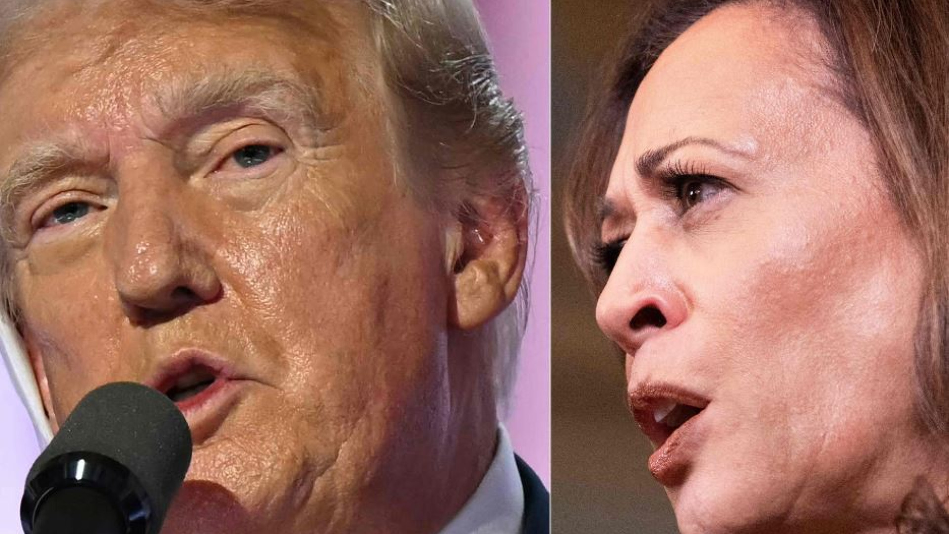 Immagine di Secondo i sondaggi Kamala Harris è avanti 6 punti, Trump è più nervoso