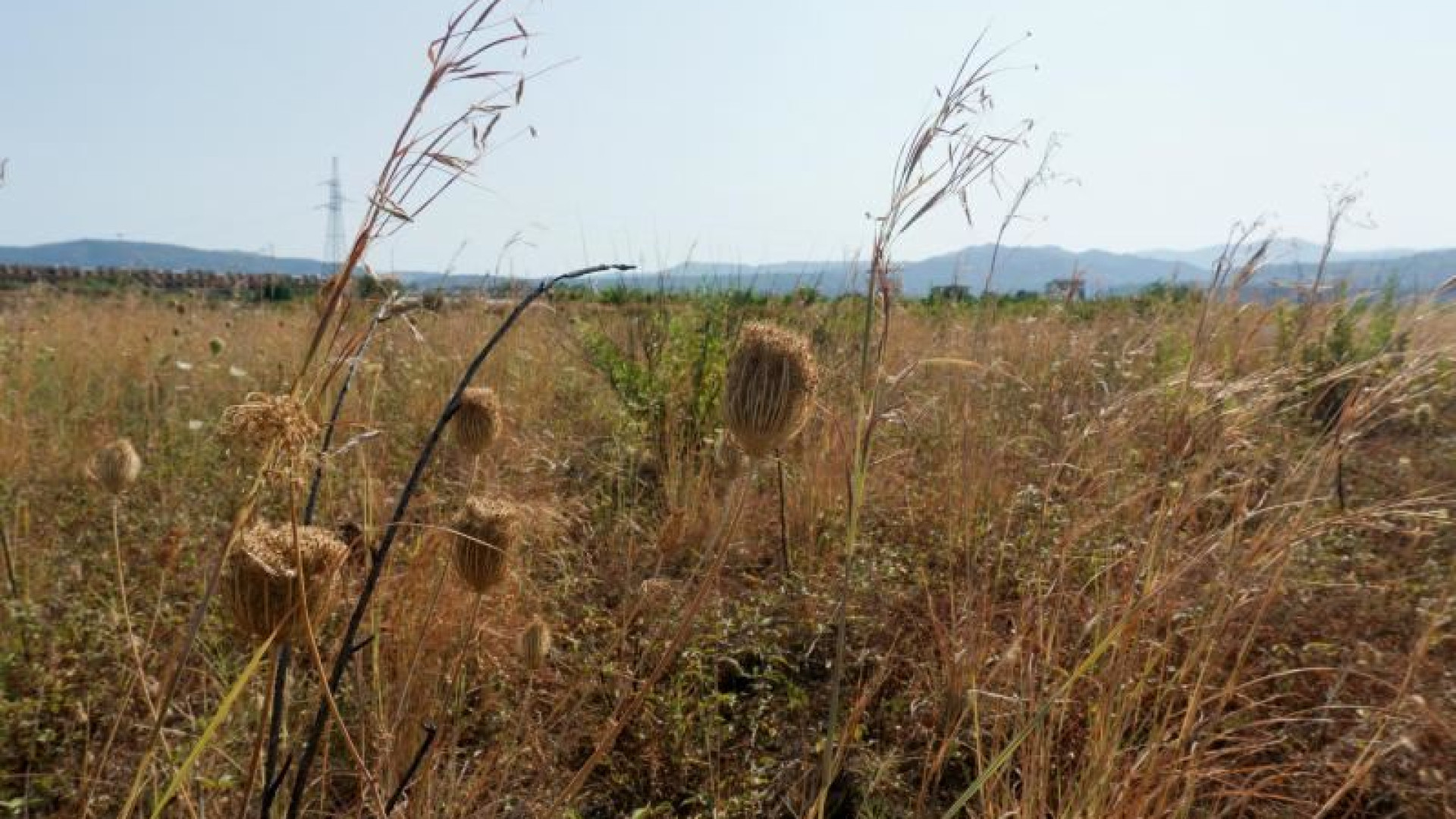 Immagine di In Puglia acqua con il contagocce dai rubinetti e per i campi agricoli