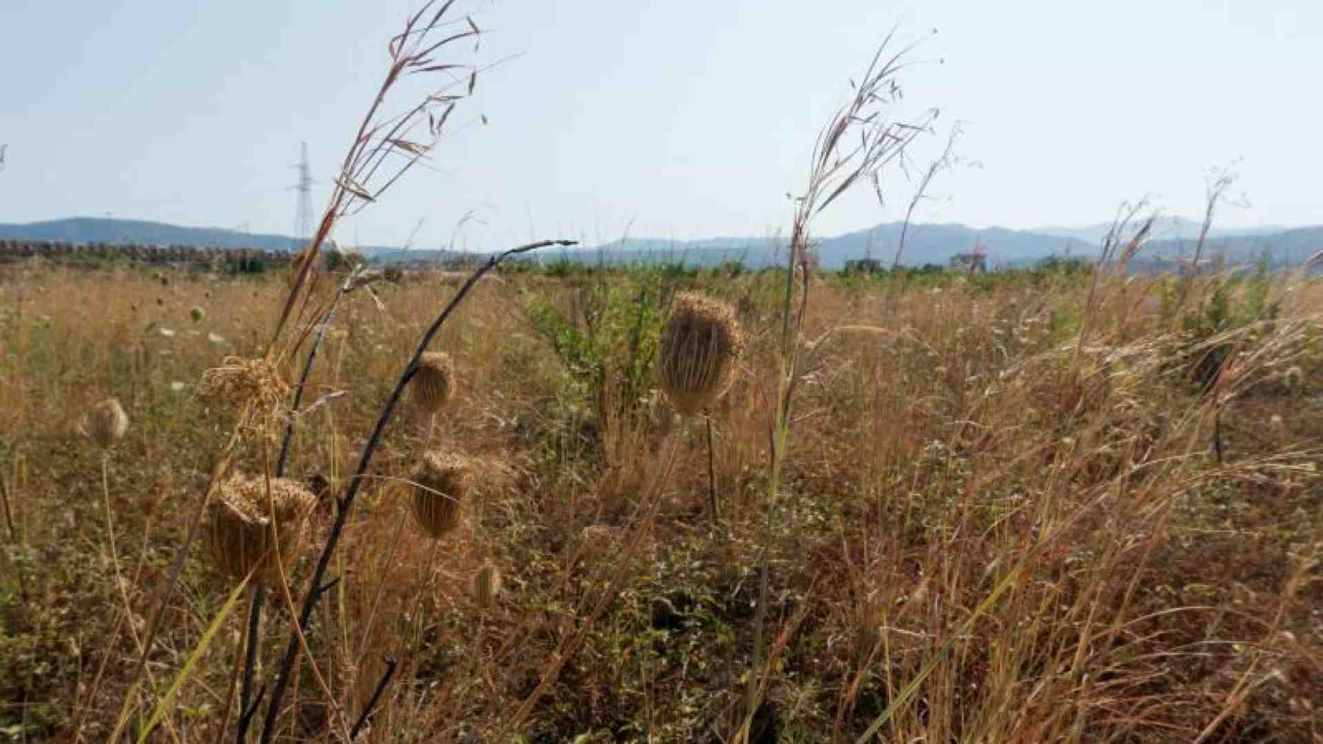 Immagine di In Puglia acqua con il contagocce dai rubinetti e per i campi agricoli