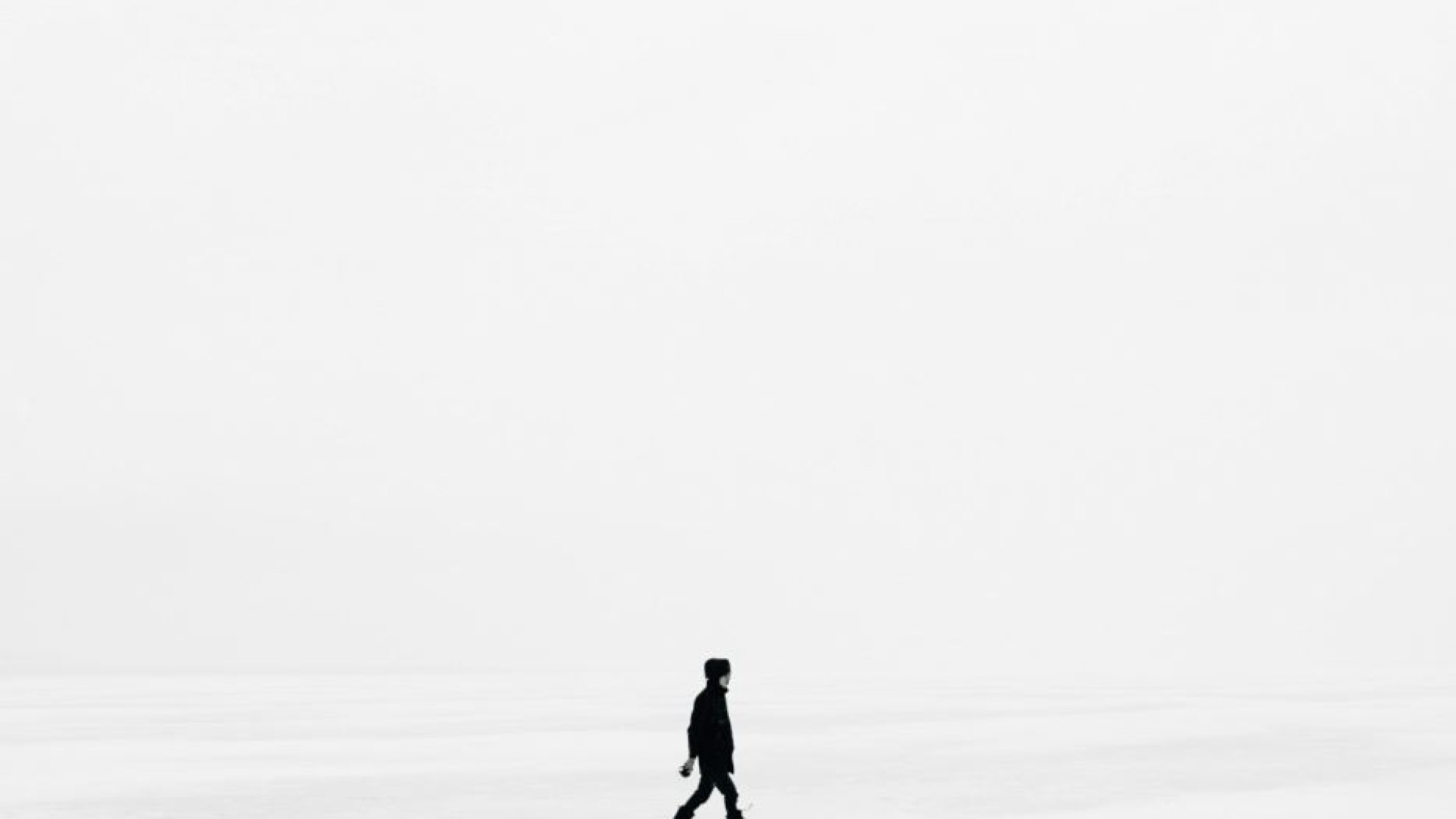 Immagine di Che cosa cerca l’uomo? La parola ai filosofi