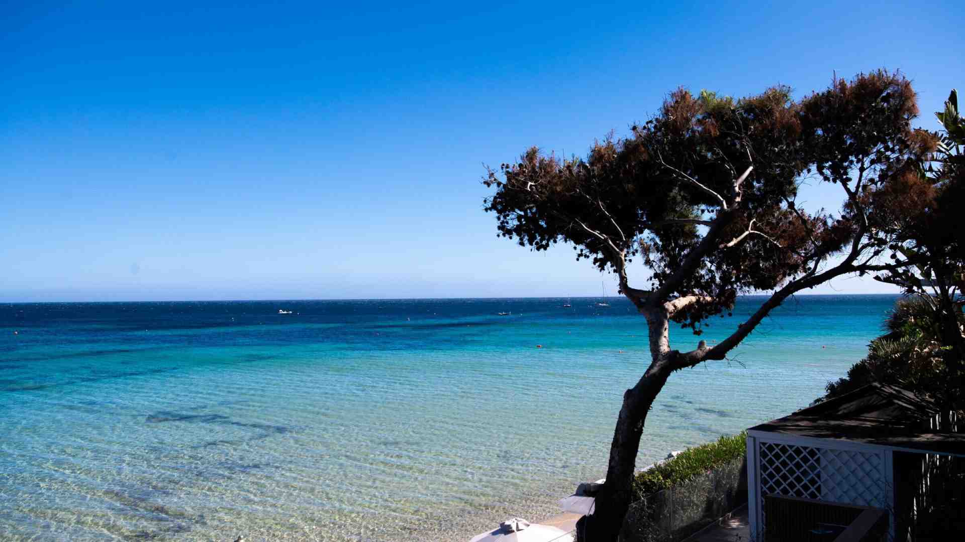 Immagine di La Sardegna vacanza migliore (purtroppo) e altre recensioni tranchant