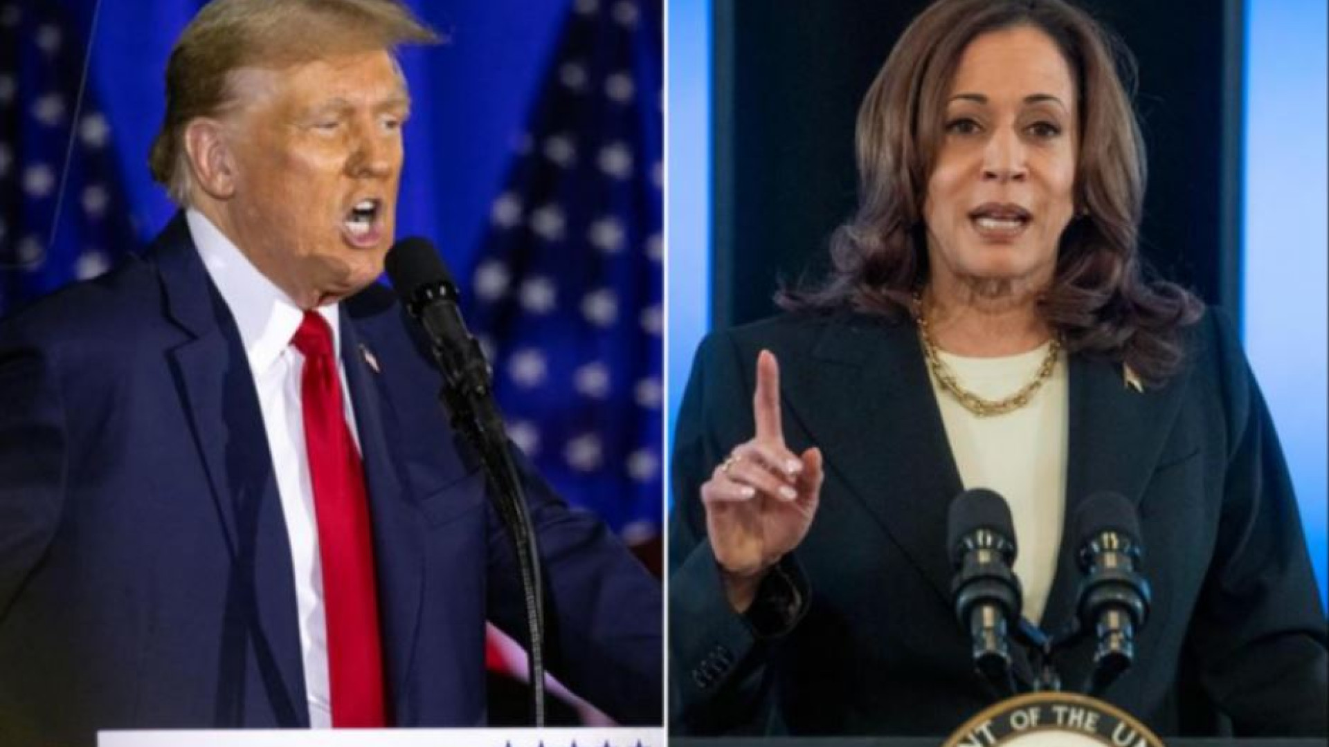 Immagine di Trump per risalire punta sulle "fake"