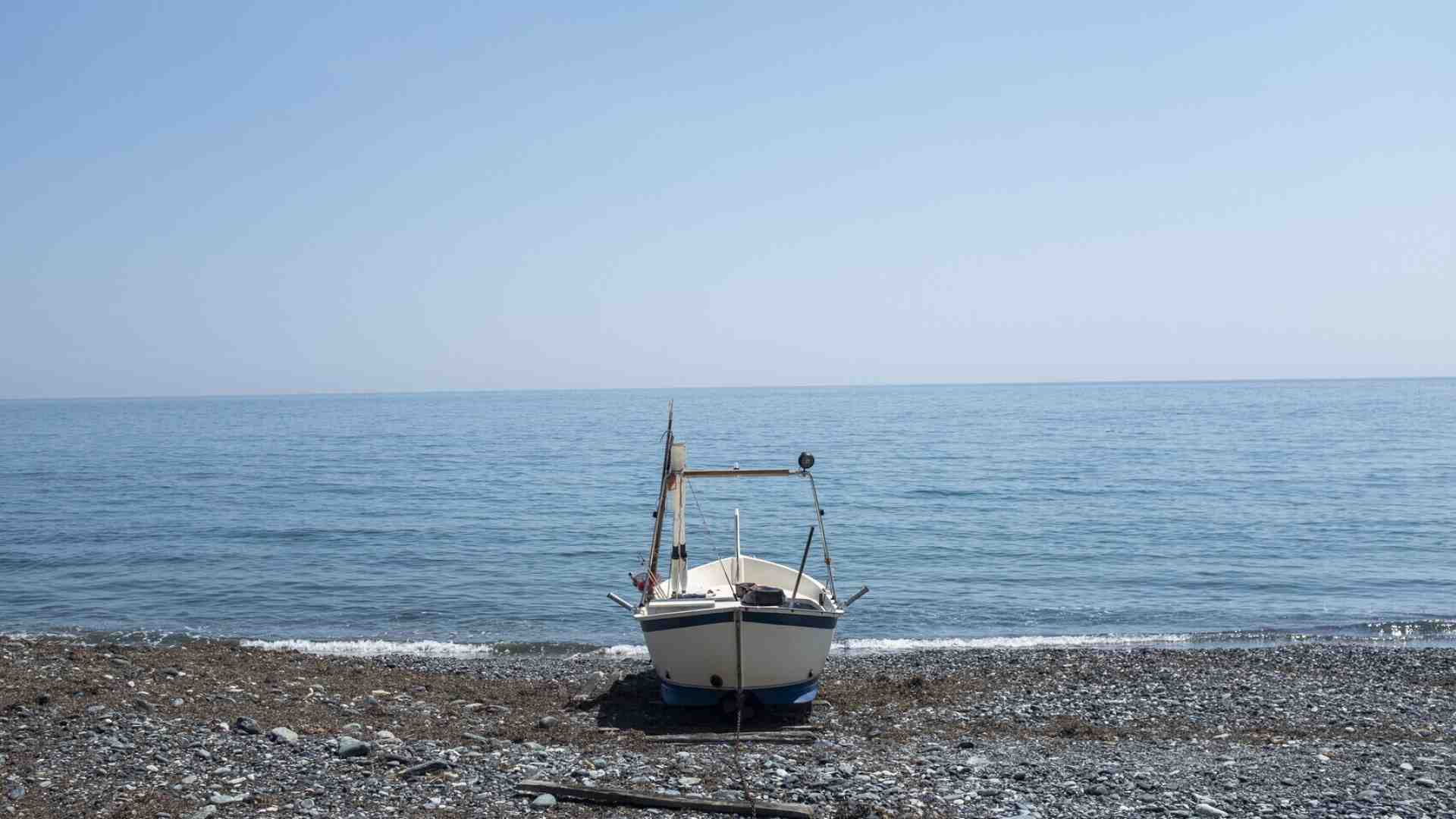 Immagine di Catalogo incompleto di spiaggiati, molesti oppure no. Da Bordighera è (quasi) tutto