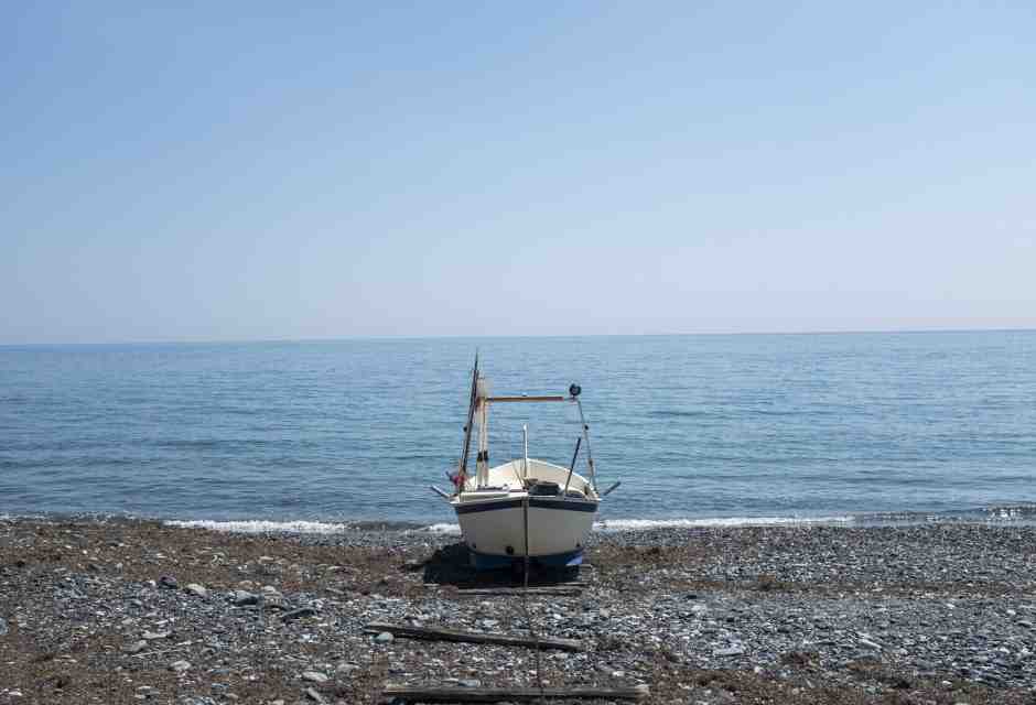 Catalogo incompleto di spiaggiati, molesti oppure no. Da Bordighera è (quasi) tutto