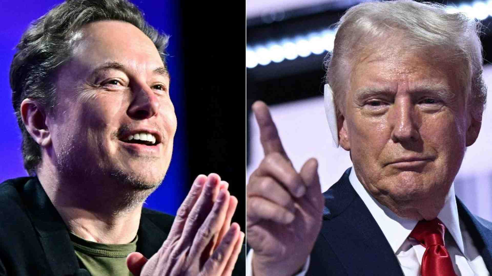 Immagine di Musk-Trump: il Gatto e la Volpe della politica Usa. Ecco perché