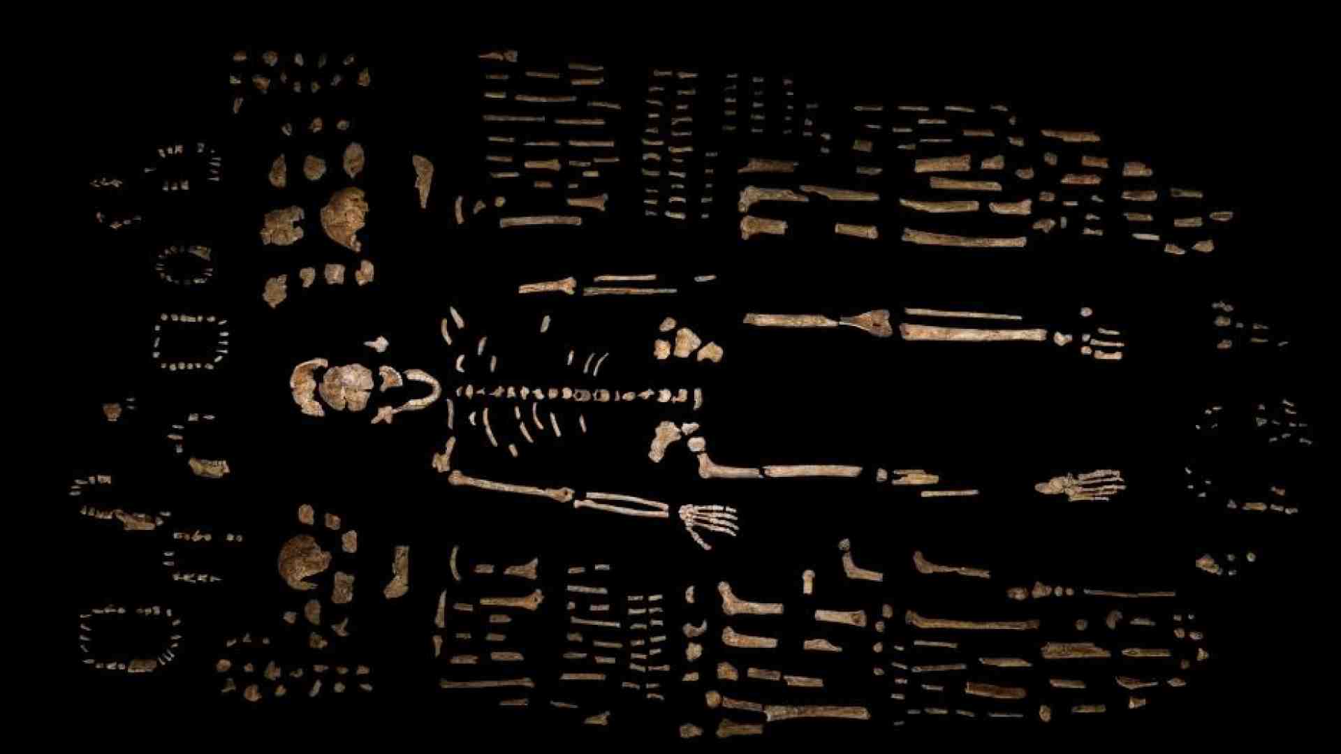Immagine di Homo Naledi: una nuova ricerca smonta la tesi sulle sepolture