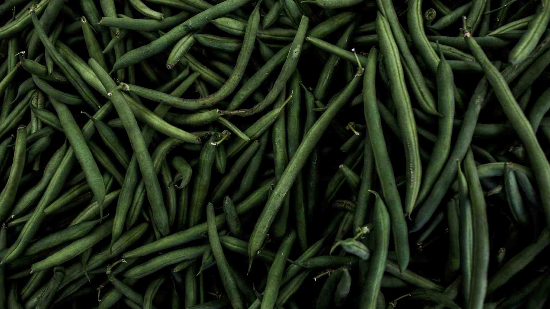 Immagine di La signora che non ha tempo per spuntare i fagiolini, simbolo della nazione