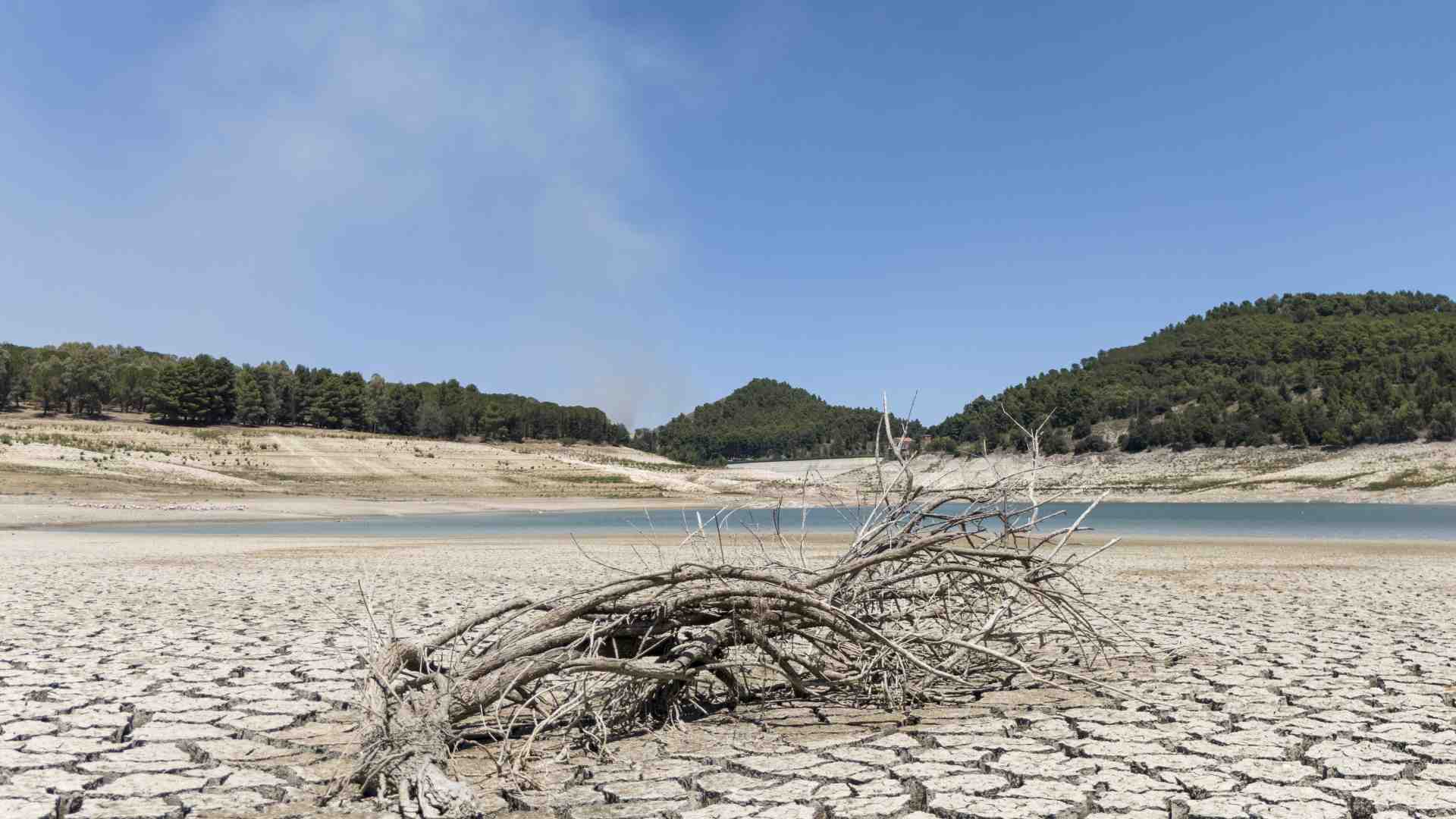 Immagine di Contro i falsi miti sulla siccità. Cinque lezioni necessarie per il governo dell’acqua