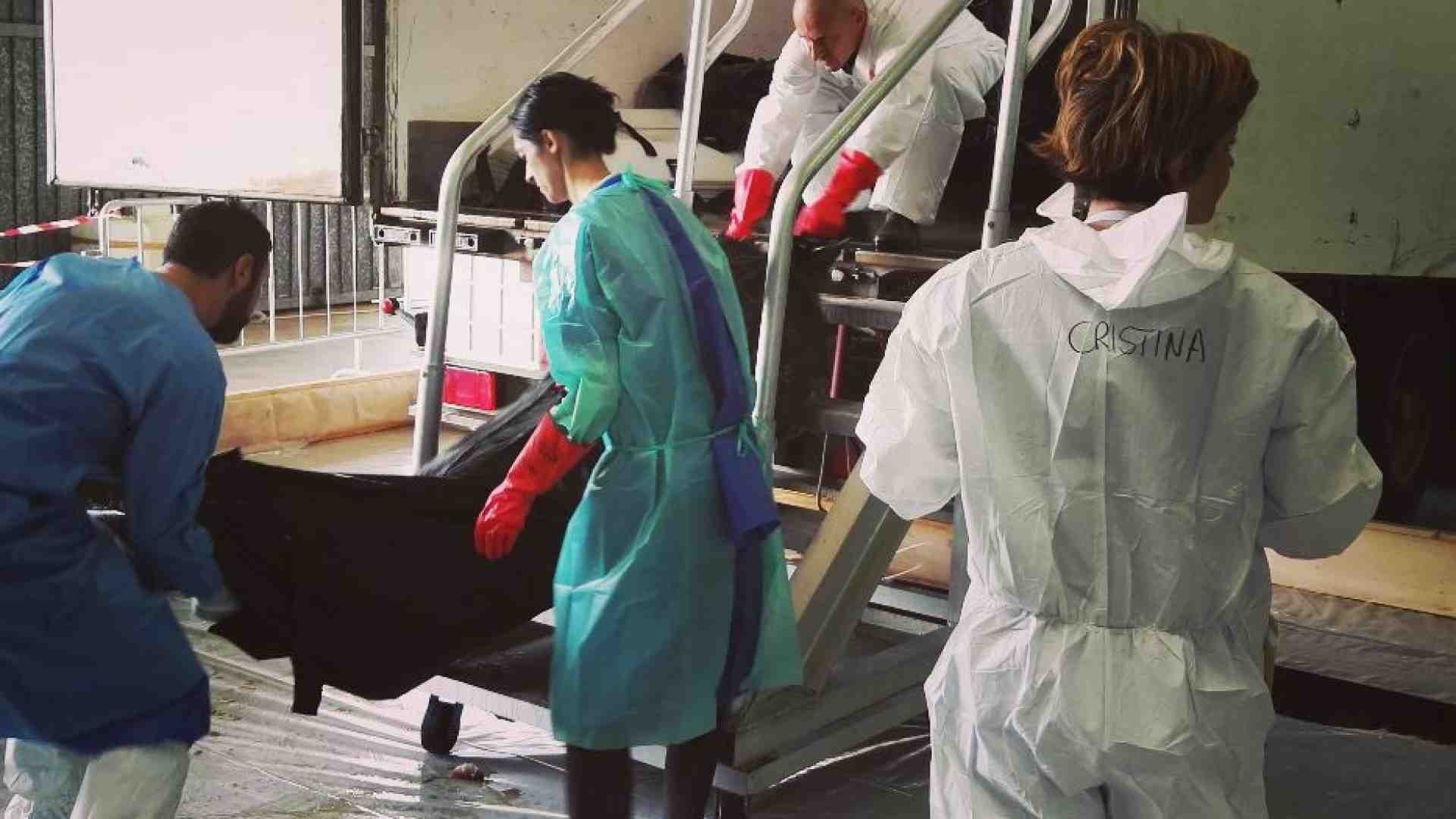 Immagine di Cristina Cattaneo: «Dare un nome ai migranti morti mi ha cambiato la vita»