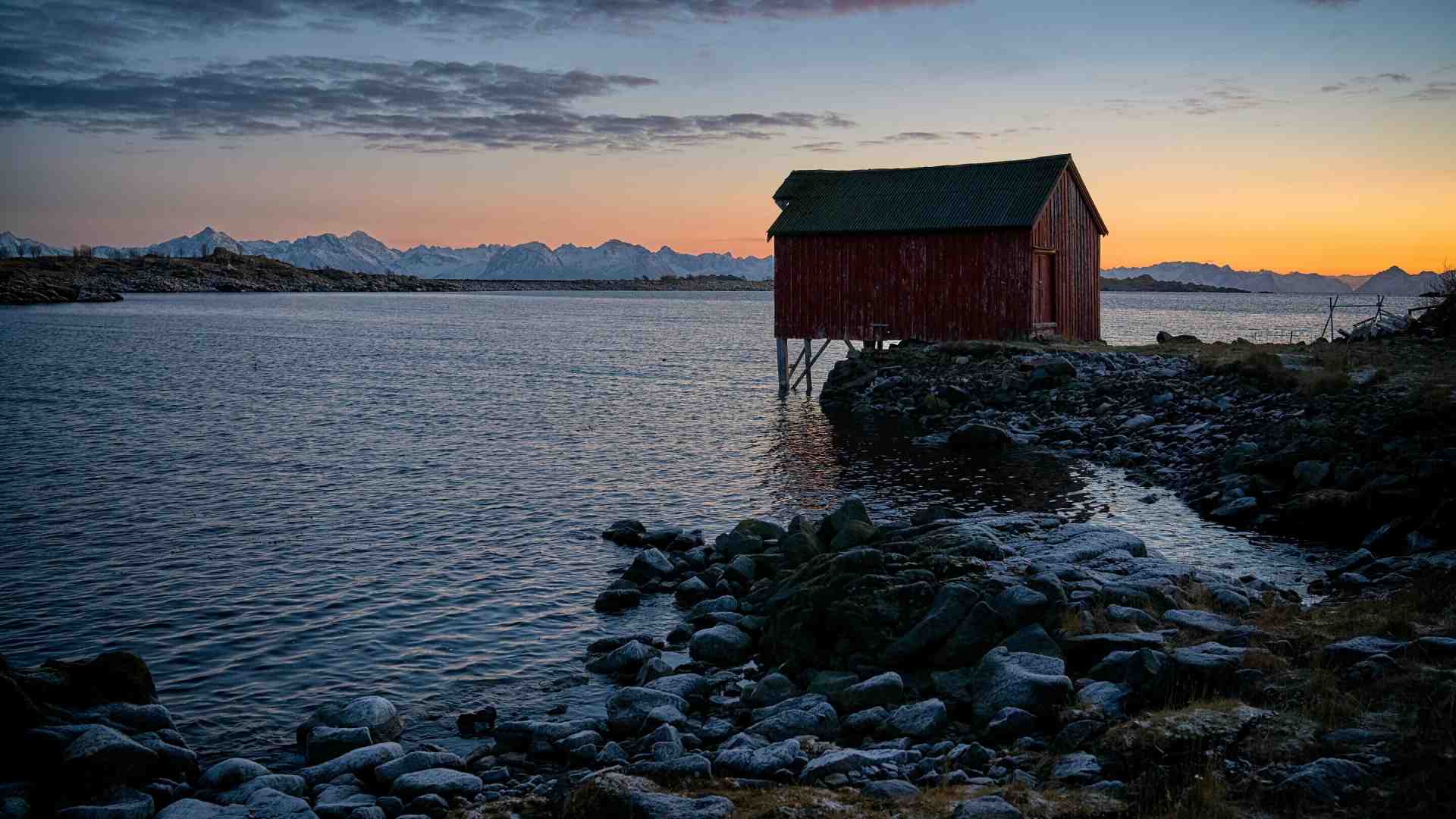 Immagine di La devastante epopea dei divorziati sull'isola dell'obitorio