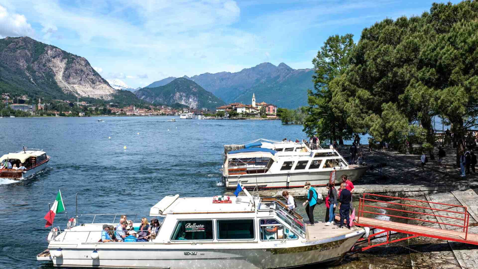 Immagine di Suoni e vita degli alberi del violoncellista Brunello (e anche di Abbado) sul Verbano