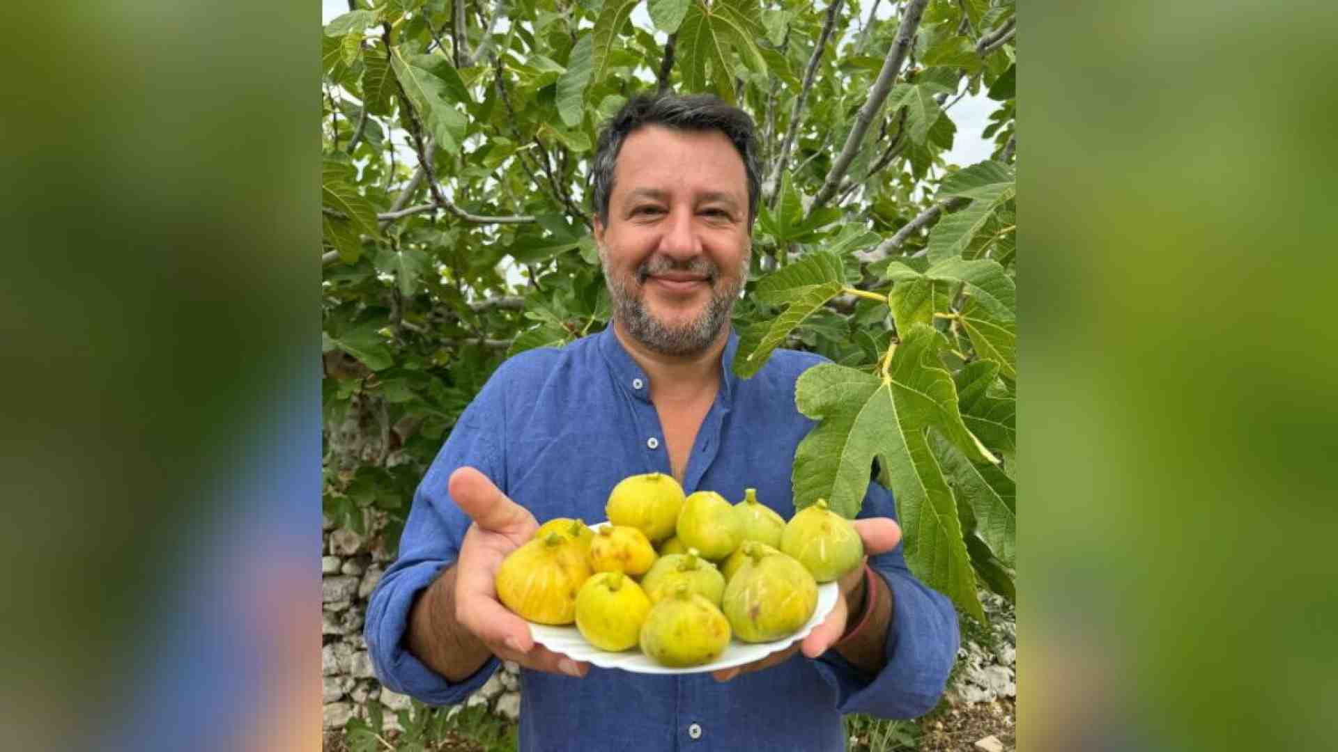 Immagine di Le differenze estive tra Salvini che bercia e non dice niente e Schlein che lascia fare a Renzi