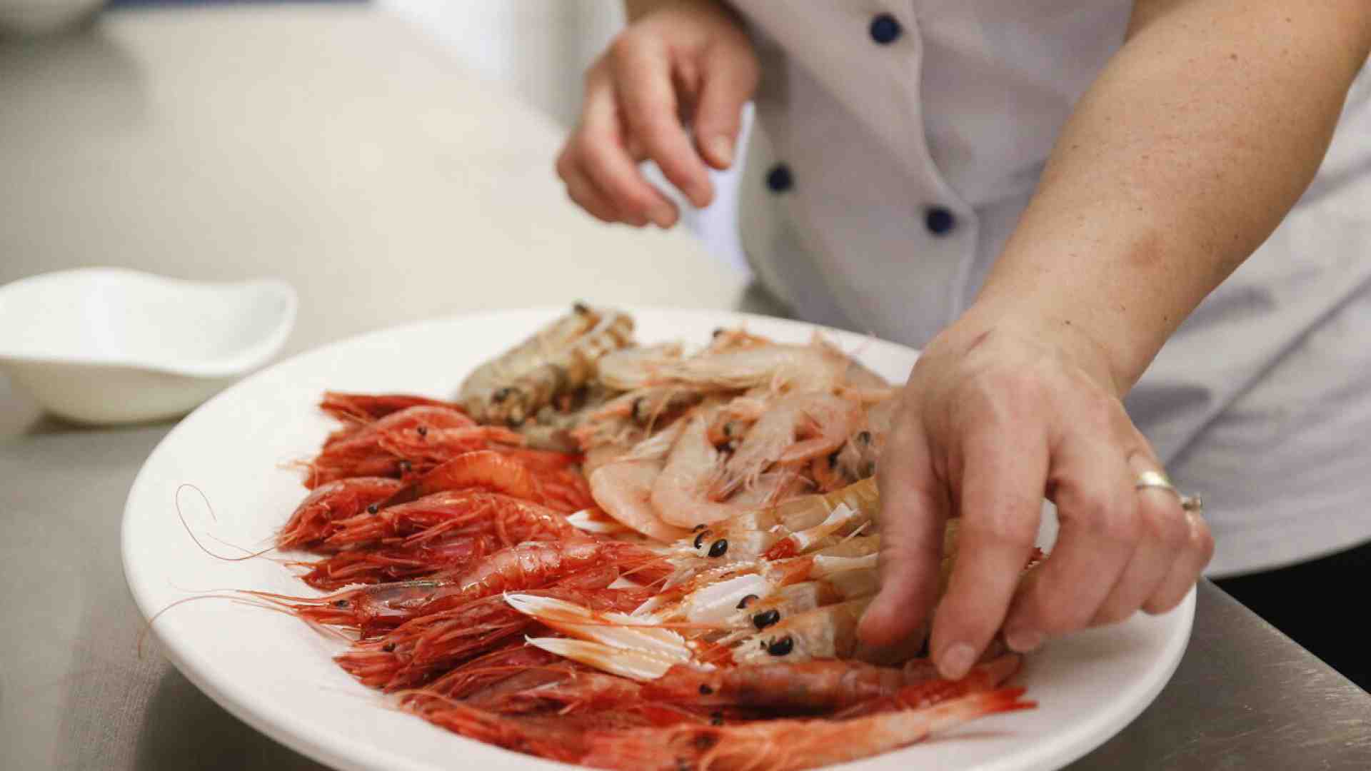 Immagine di Nessuna tradizione nella cucina di pesce di mare, stereotipo insostenibile