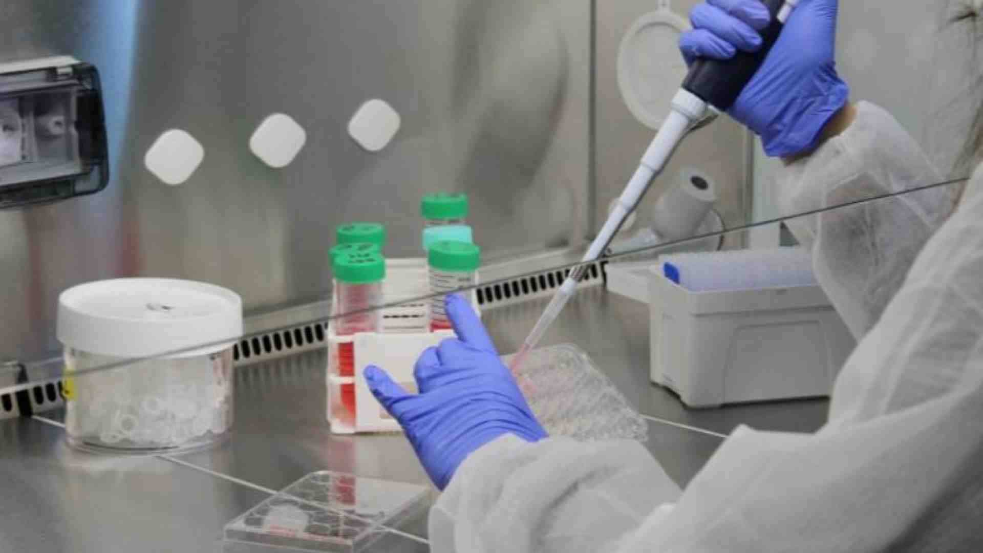 Immagine di Le mani sulla vita, in quello studio la fecondità diventava commercio