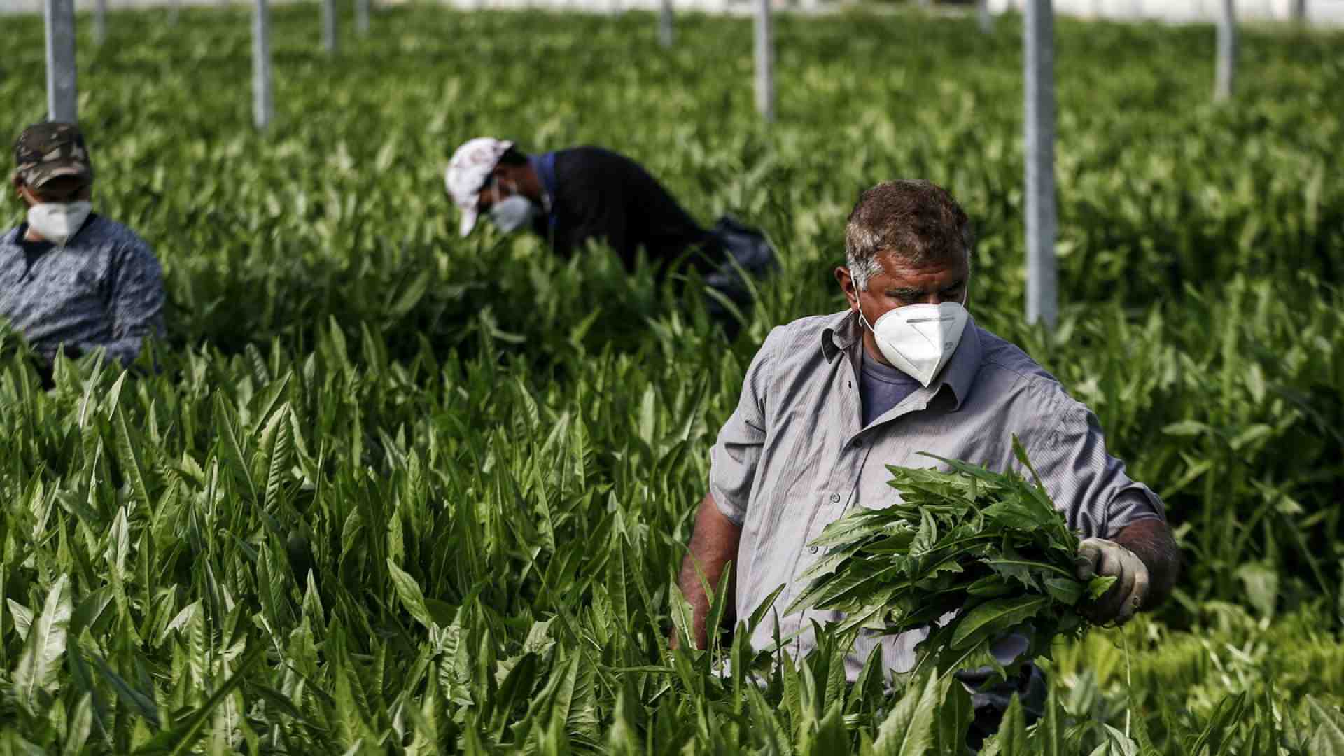 Immagine di Un’altra strada sui migranti si può