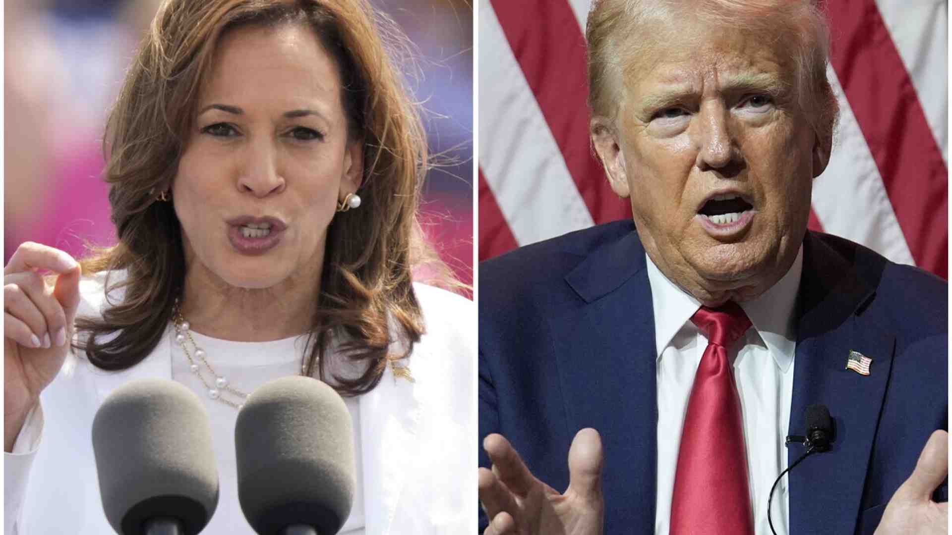 Immagine di Il populismo fiscale di Trump e Harris