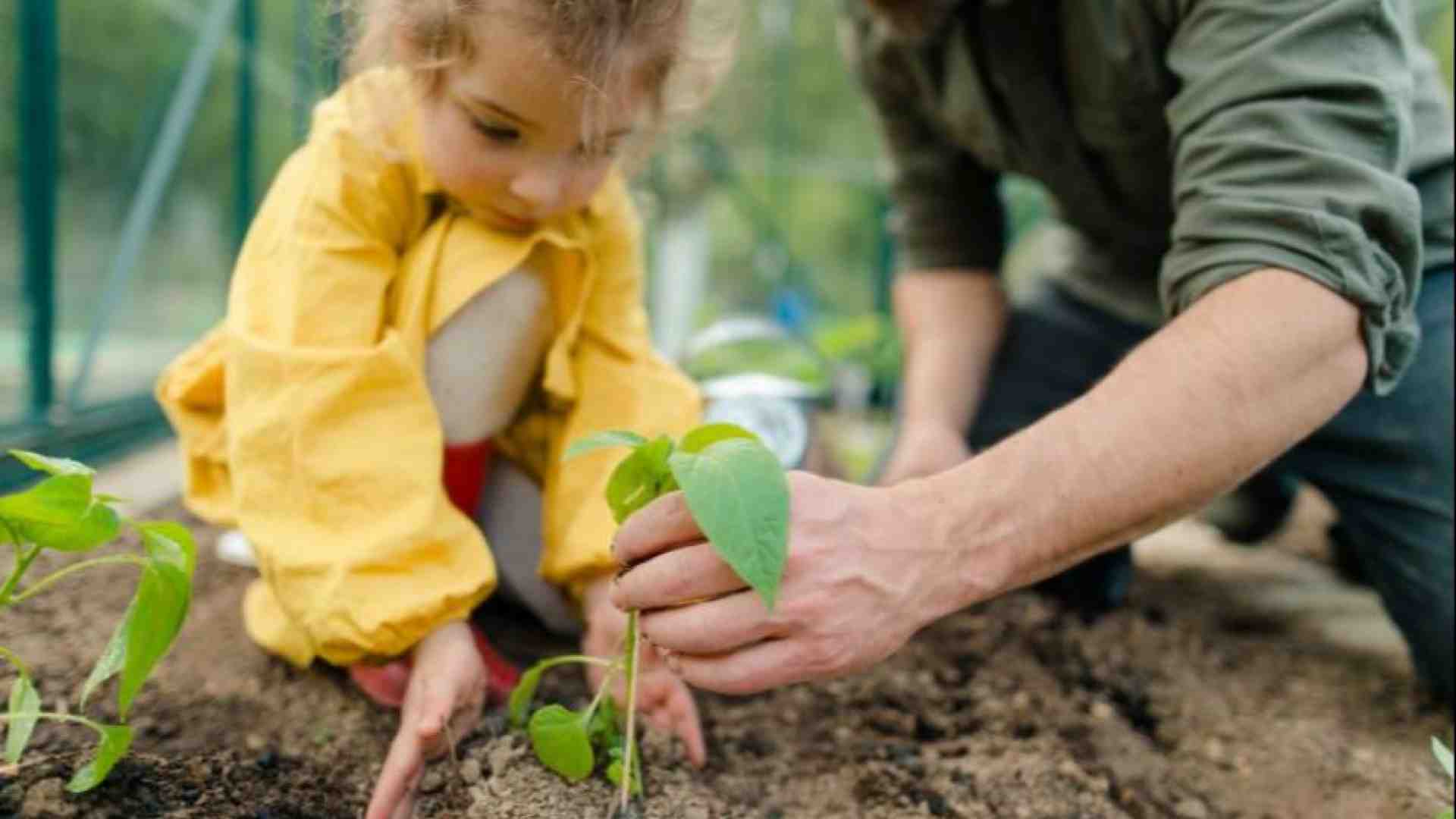 Immagine di Riecco la Giornata del Creato: ascoltiamo l'Sos del pianeta