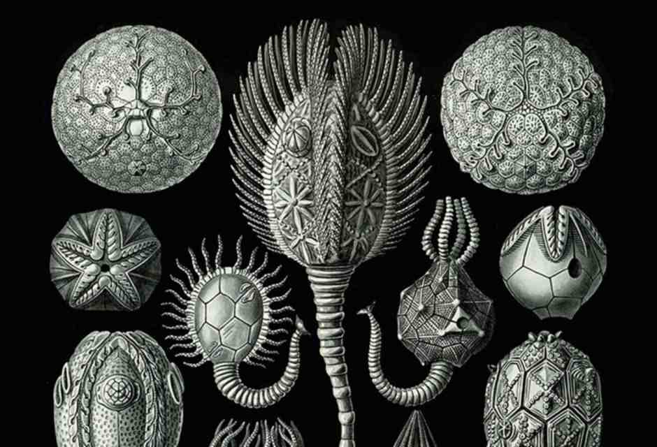Dalla copertina di "Metafisica cancerosa" di Marco Lanterna (La scuola di Pitagora)<br />