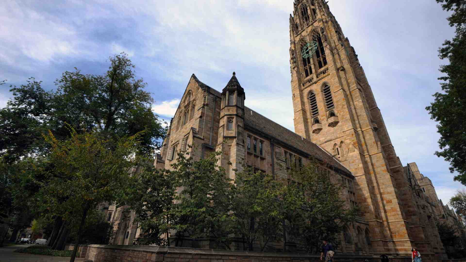 Immagine di L'università di Yale a caccia di razzismo fra gli antirazzisti