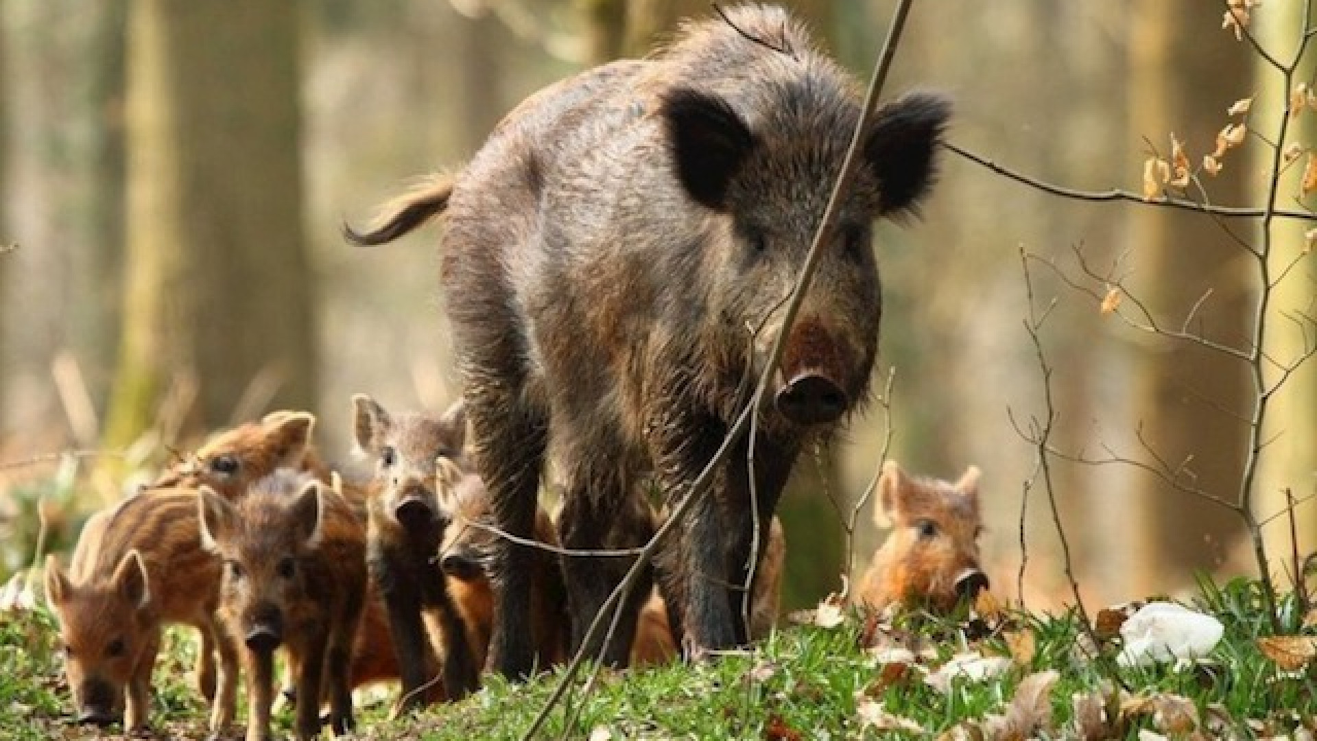 Immagine di «Abbiamo raggiunto livelli allarmanti»