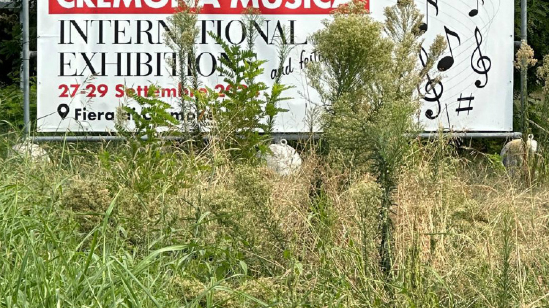 Immagine di Manifesti tra erbacce e degrado Per nulla un bel “benvenuto”