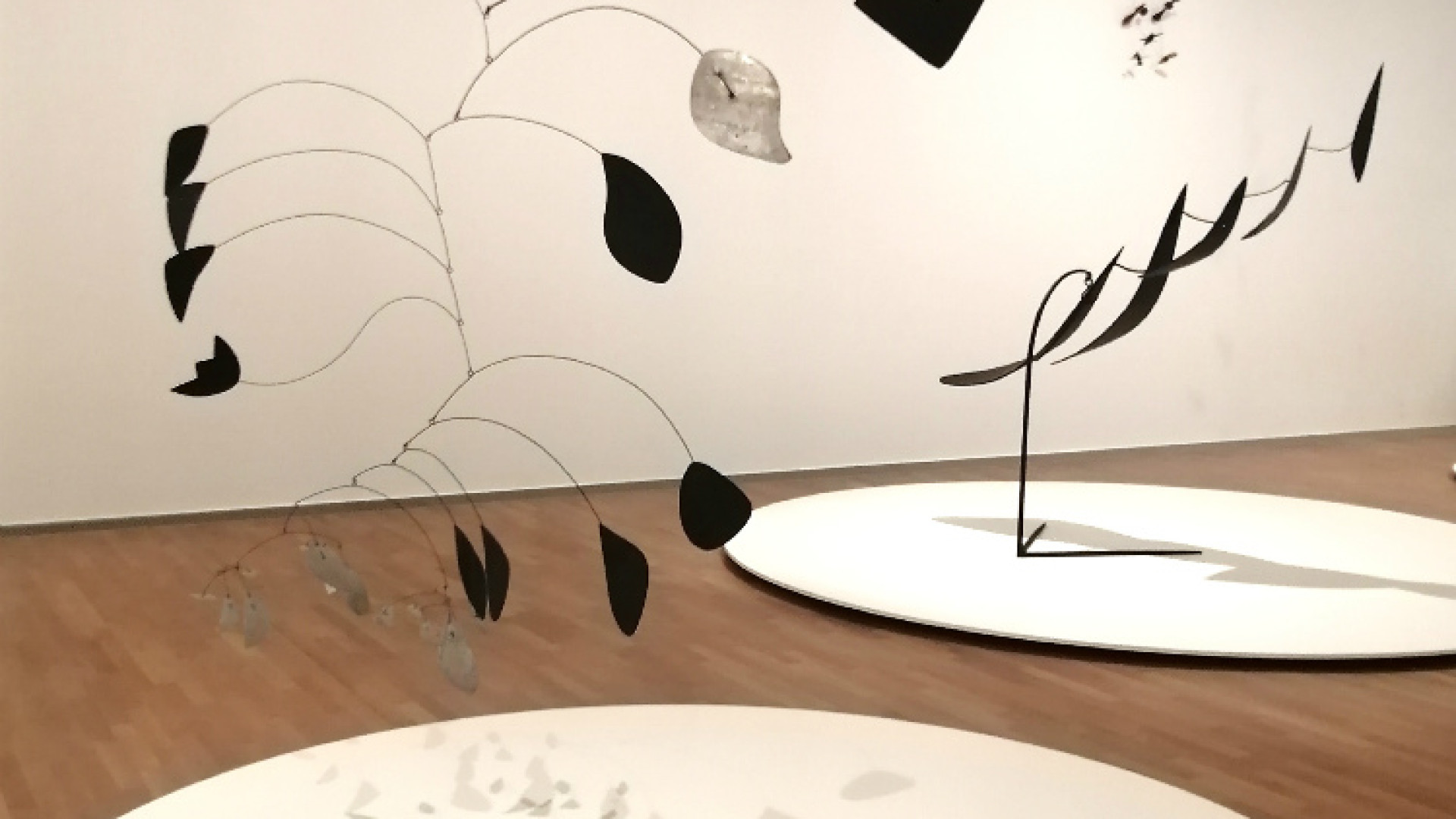 Immagine di Calder, l’arte di “scolpire il tempo”