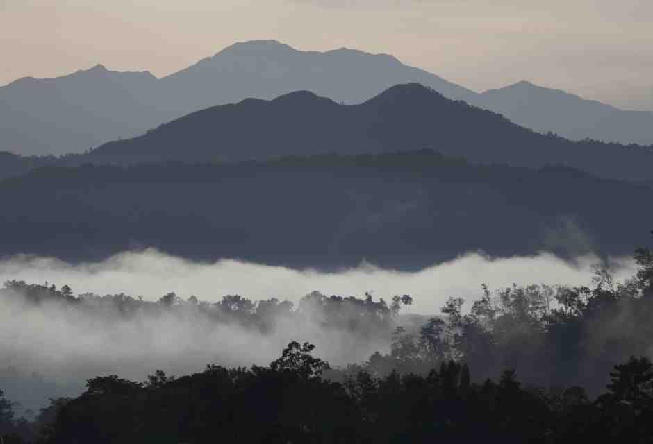 Nebbia mattutina nel parco nazionale del Monte Kinabalu a Sabah, Borneo, Malesia (Foto di Julio Etchart/ullstein bild via Getty Images)&nbsp;<br />
