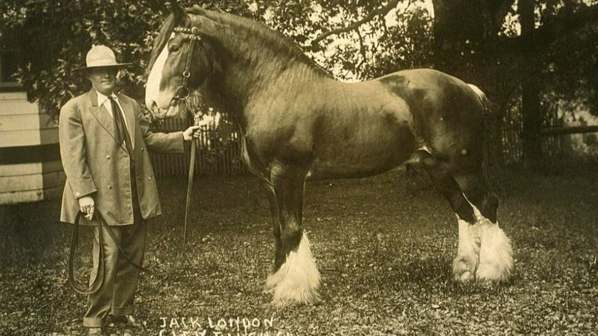 Immagine di Letteratura e immagini, a scuola sulle orme di Jack London